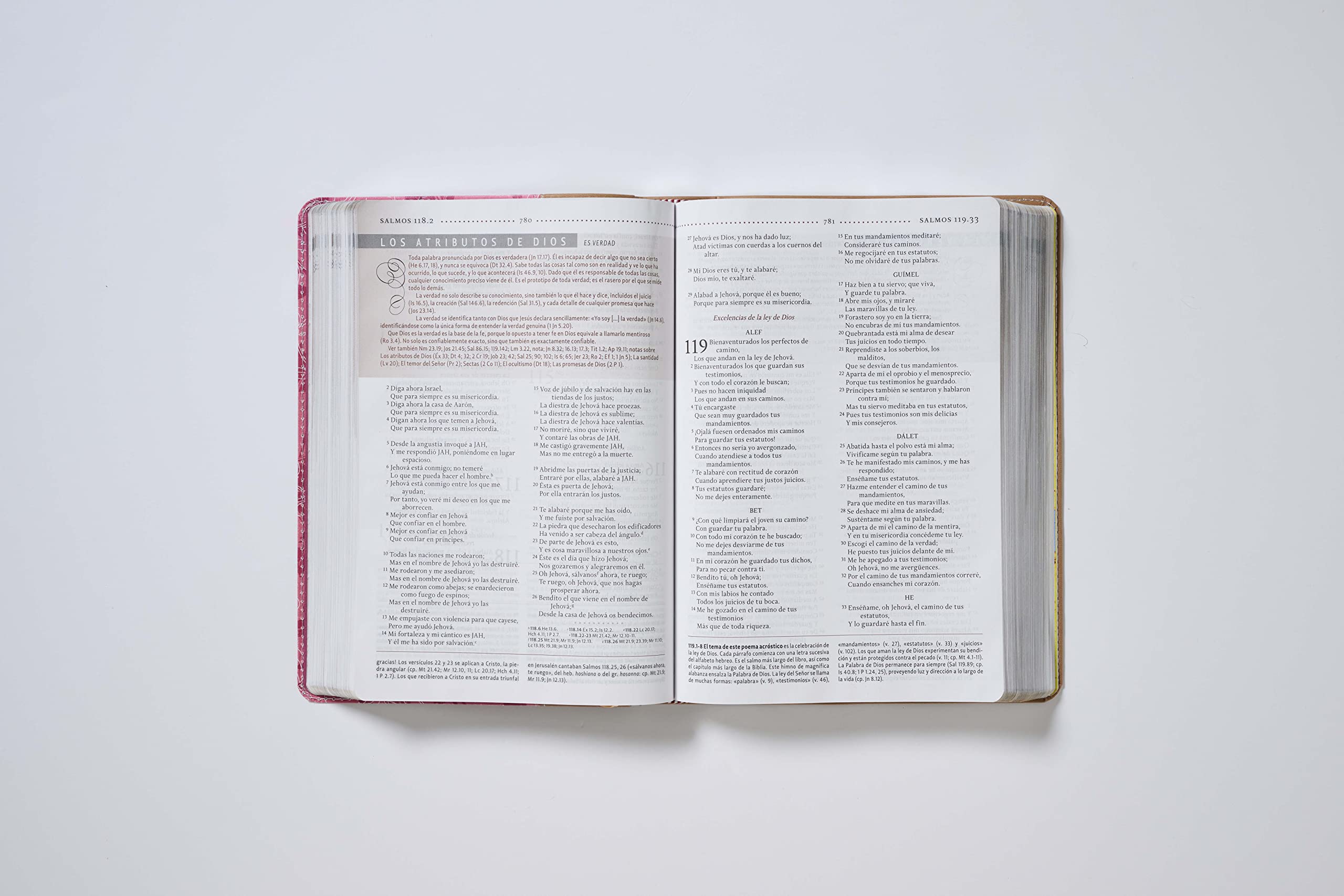 Biblia de Estudio Para la Mujer-Rvr 1960