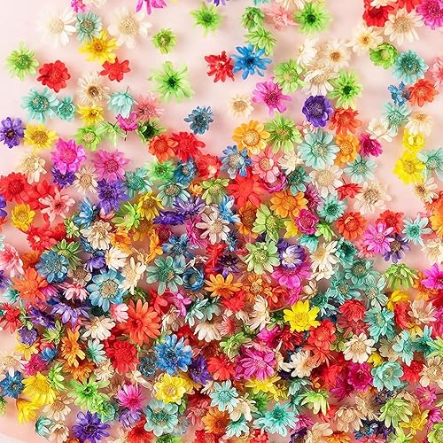 710 flores secas para manualidades de resina, pequeñas flores secas para uñas, flores secas prensadas pequeñas naturales reales para joyas, aretes,