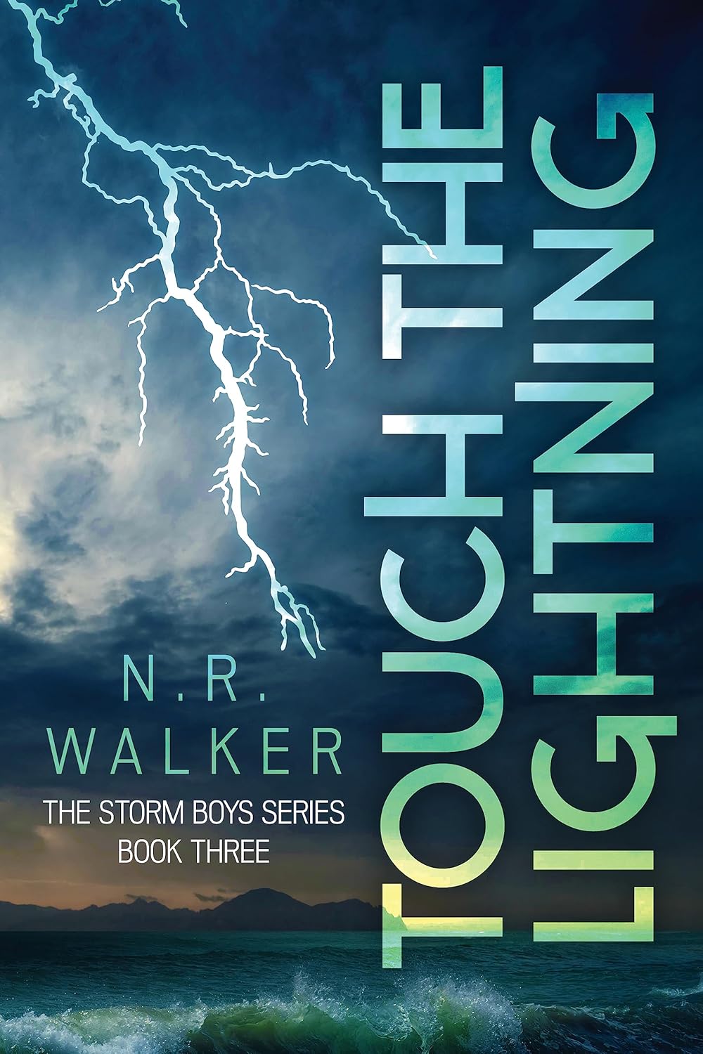 book cover for Touch the Lightning