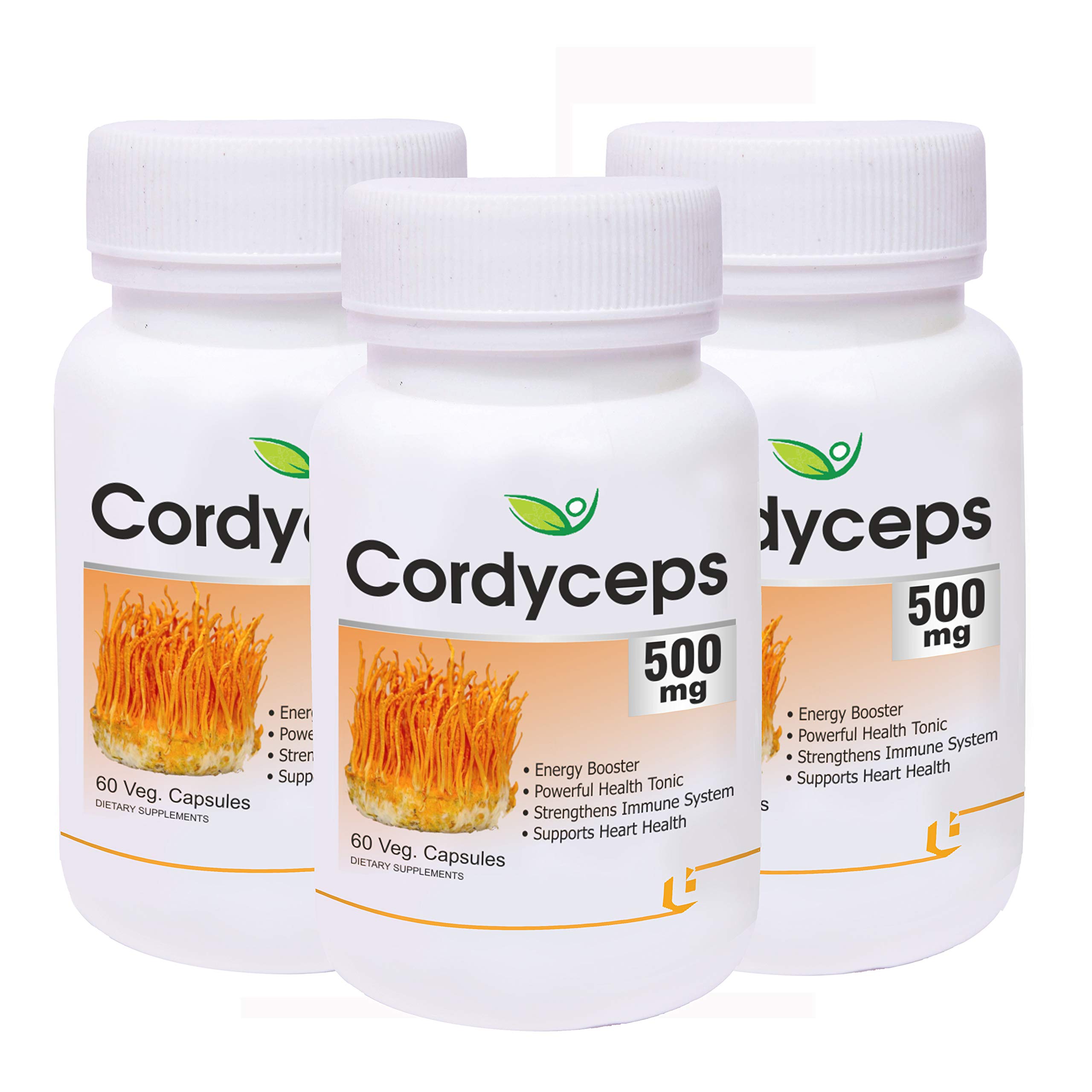 Biotrex Nutraceuticals Cordyceps 500mg-60 Veg Capsule,Pack of 3,Dietary supplement to strengthen Immune System,nutritional supplement,multivitamins,vitamin for men,women & adults,health supplements (B07SC6144T) Amazon Price History, Amazon Price Tracker