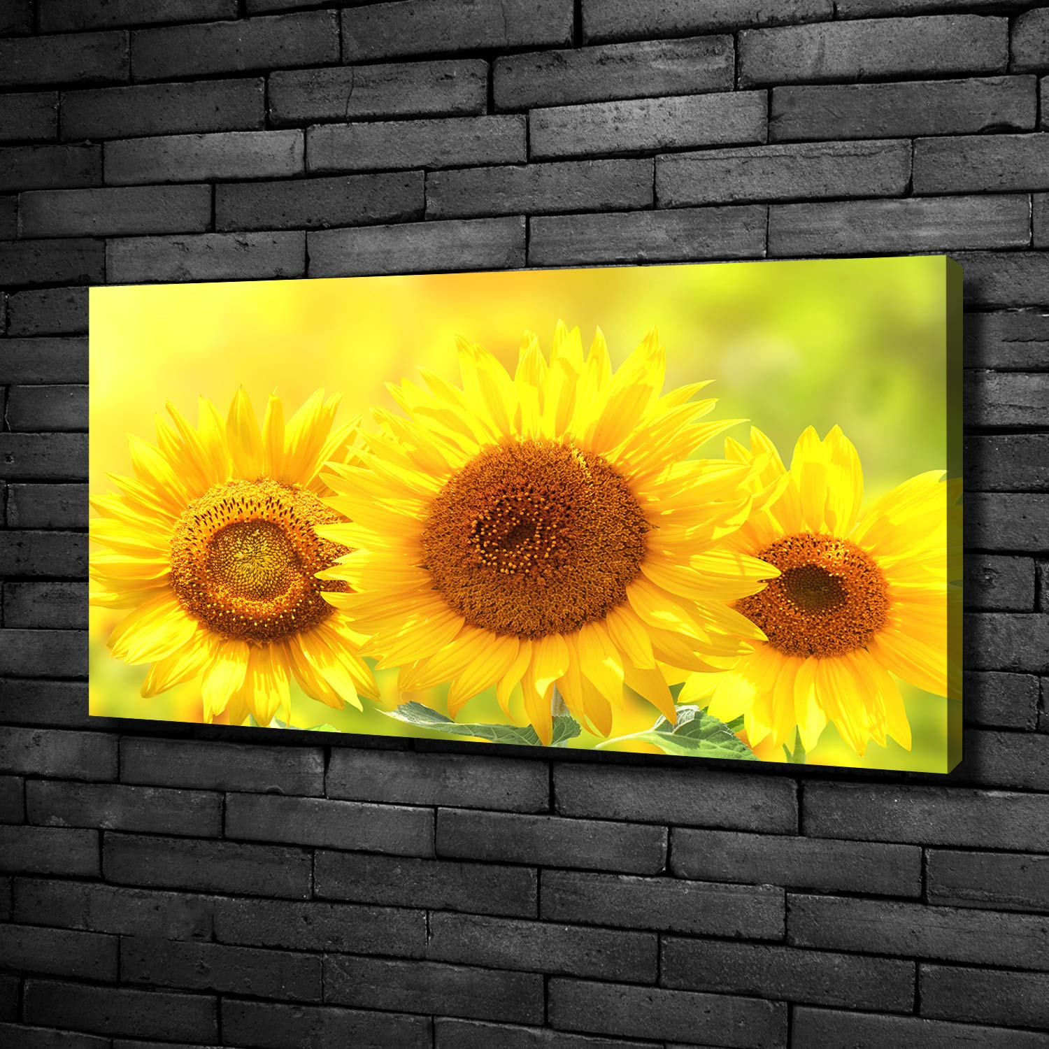 Tulup Cuadro en Lienzo - 100x50cm - Pintura - impresión Decorativa para la Pared - Imagen Decorativa - Impresión de Lienzo - Flores y Plantas - Girasoles