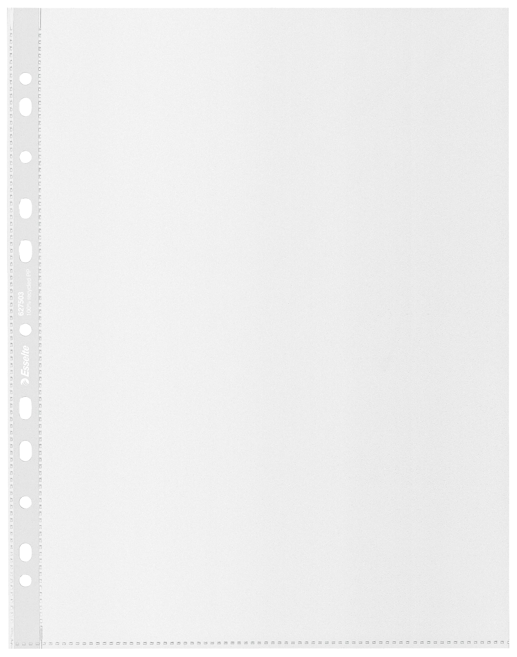 Esselte Buste Perforate Riciclate DeLuxe in PPL Antiriflesso, per Archiviare Documenti in Formato 22x30 cm, Confezione da 100 Buste Perforate in Plastica Riciclata al 100% e Antiriflesso, 627503