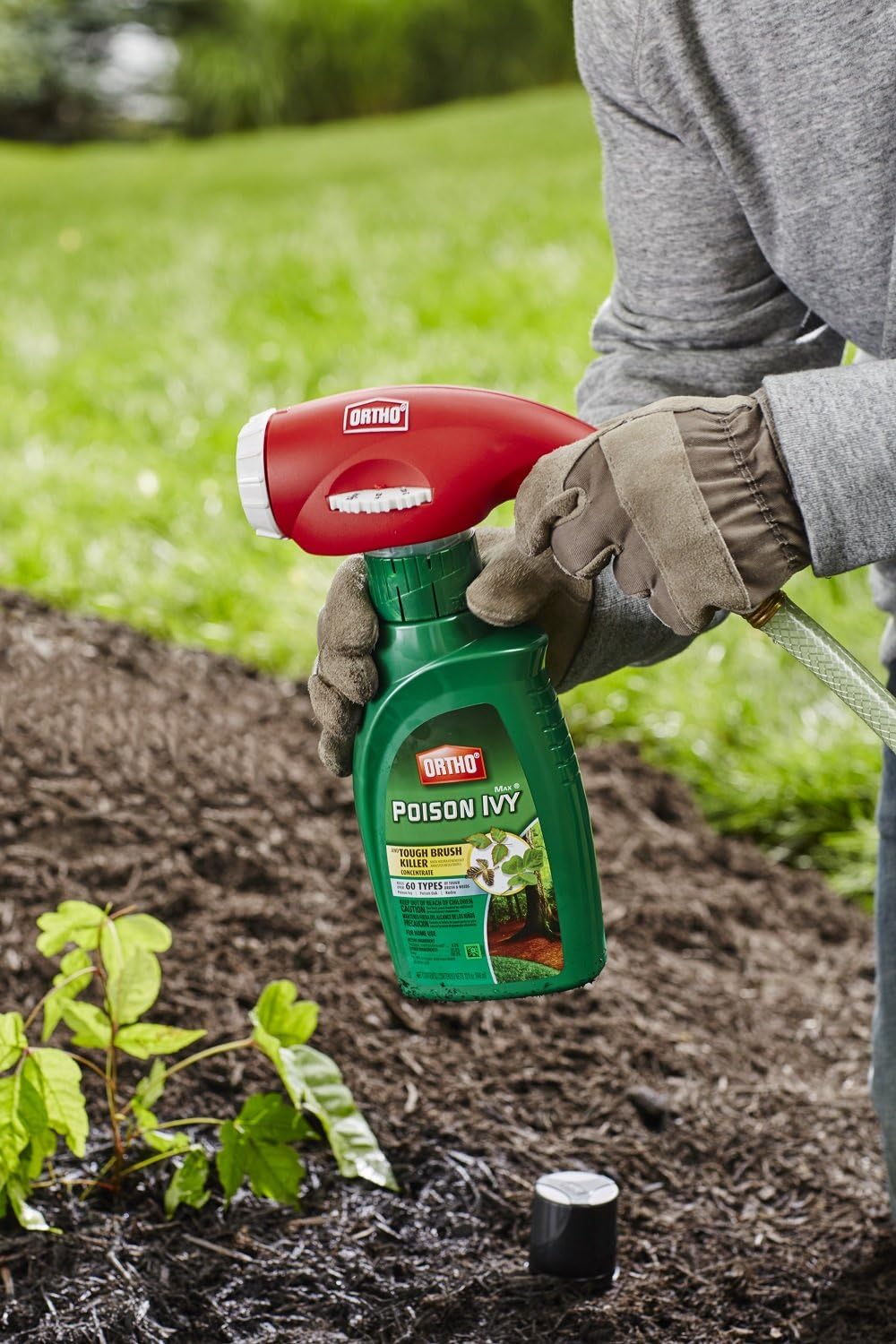 The Scotts Ortho Max Poison Ivy Tough Brush Killer, 32-Ounce