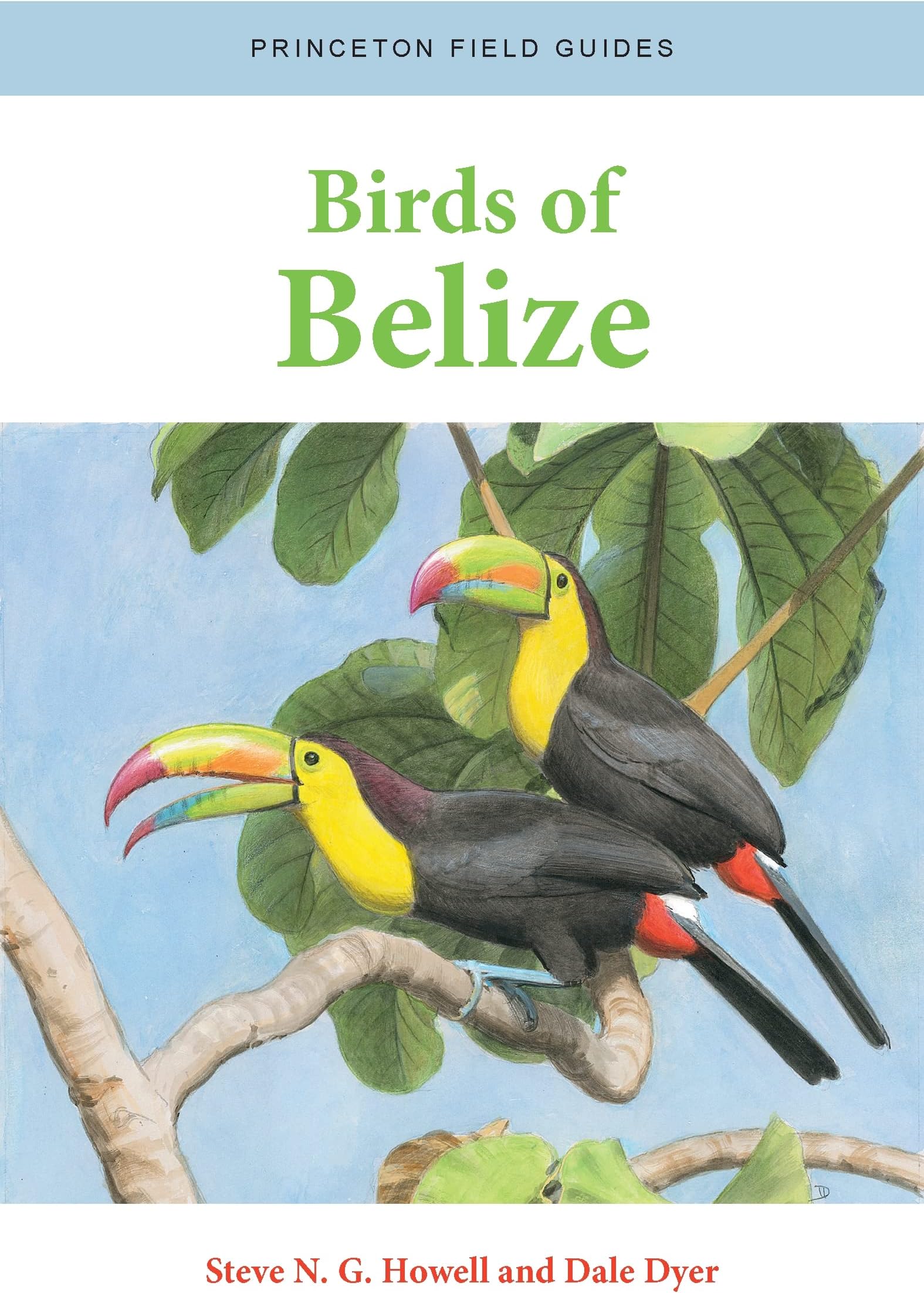 Birds of Belize