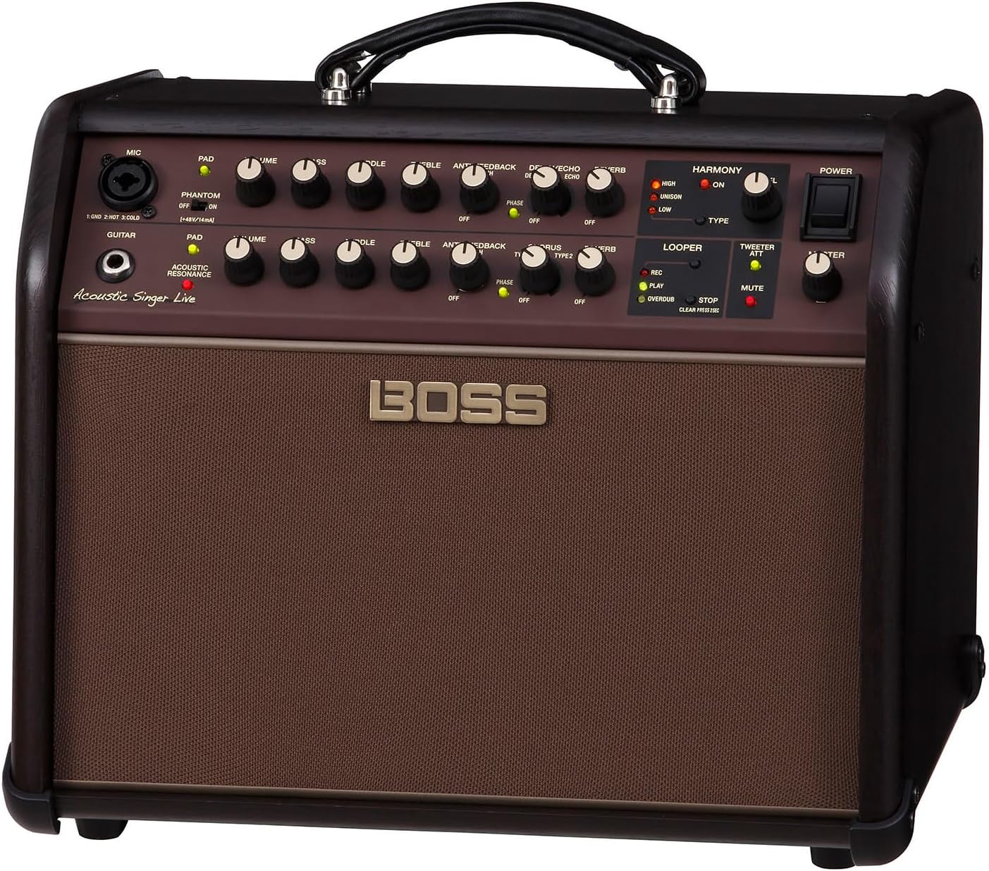 ACS Live 60W Combo Amplifier for Acoustic Guitar and Vocals