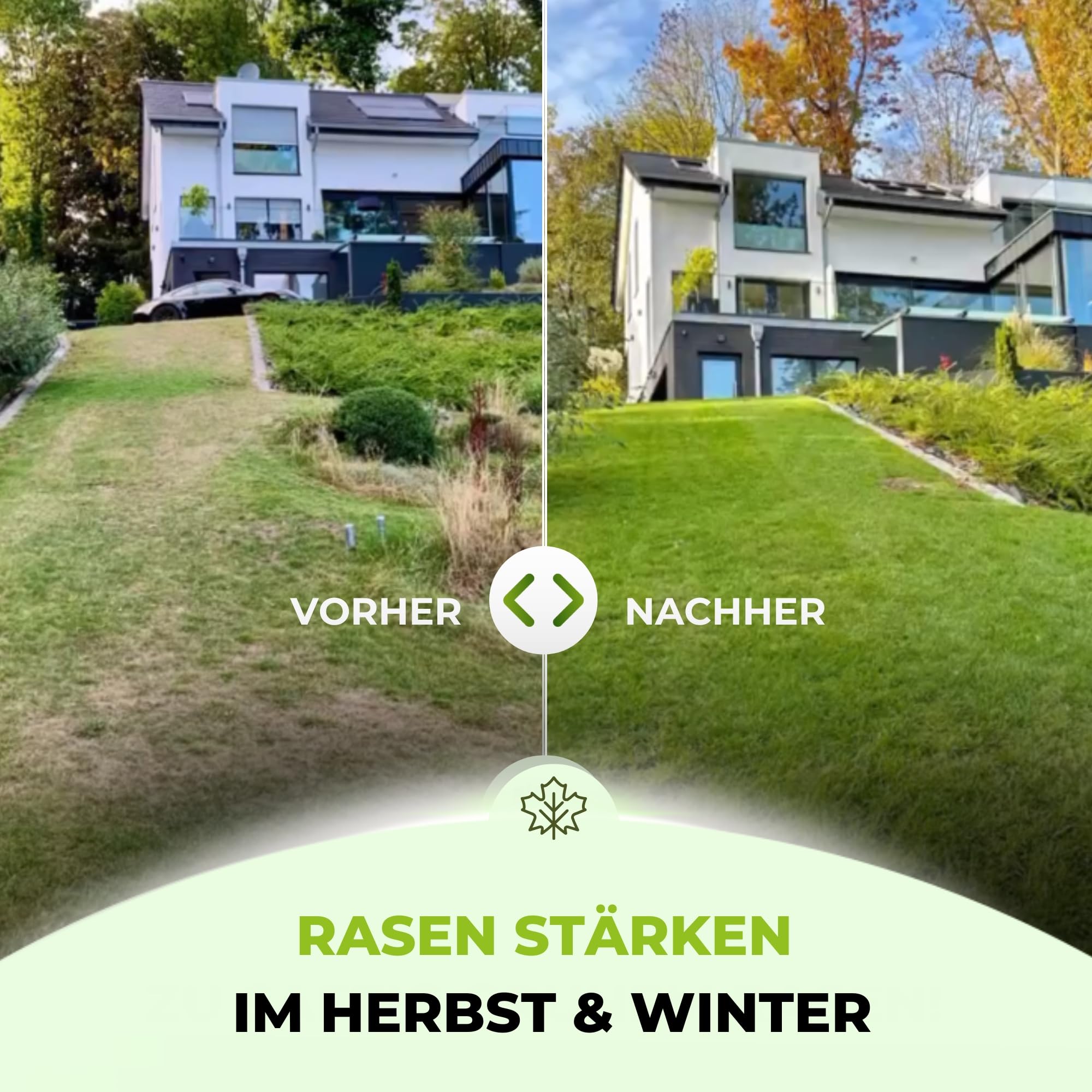 TerraUno Premium Herbstdünger Rasen, gesunder Rasen verdrängt Moos & Unkraut, Rasendünger Herbst mit 60 Tage Langzeitwirkung, 20 kg für 1000 m², Herbstrasendünger, Sofortwirkung, extra starkes Grün