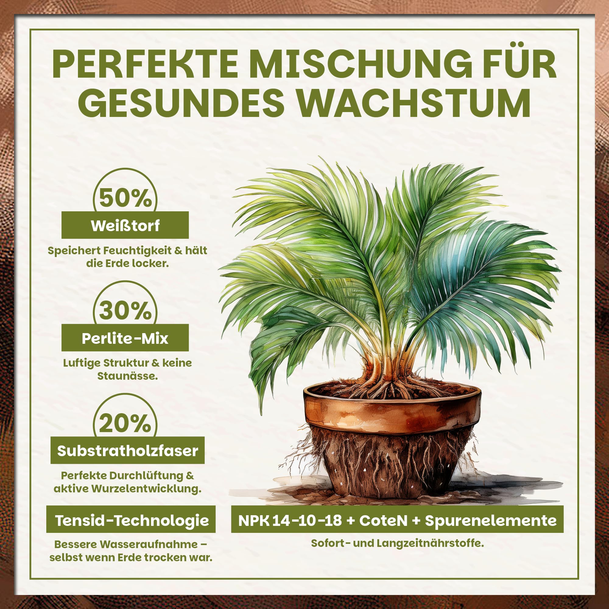 Green Home Grünpflanzen- & Palmenerde 72L – Pflanzenerde für Palmen, Grünpflanzen & Zimmerpflanzen – Mit Torf & Holzfasern – Hochbeet-Erde & Gemüseerde für gesundes Wachstum