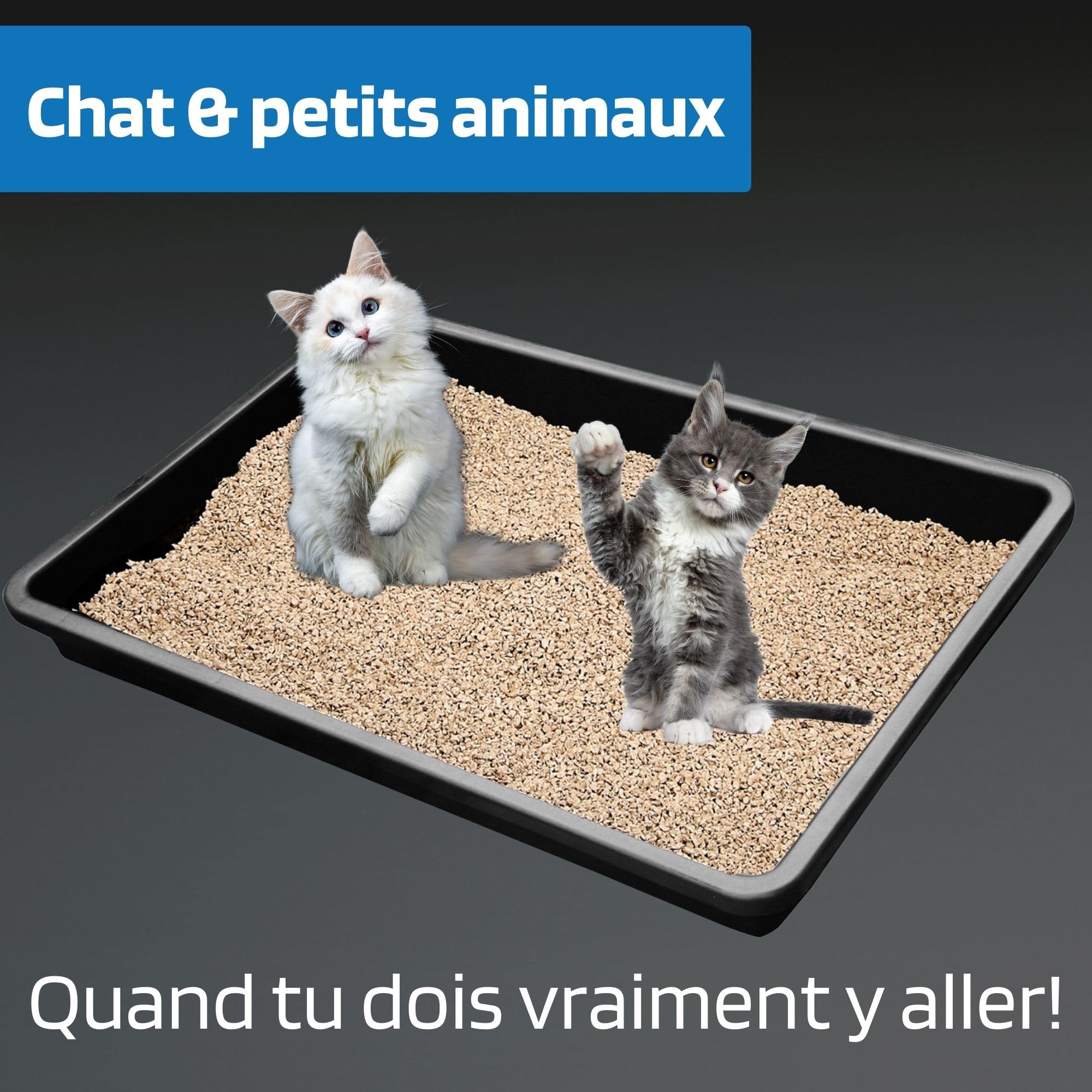 SW-Stahl 07377L Bac de Rétention Universel XXL, 42 L, 88 x 60 x 10 cm | Grande cuvette de récupération d'huile en plastique, plateau de culture pour jardin et bac pour petits animaux