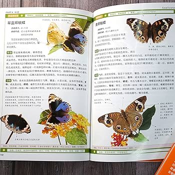 語学・辞書・学習参考書 Butterflies and Moths of China Field guide