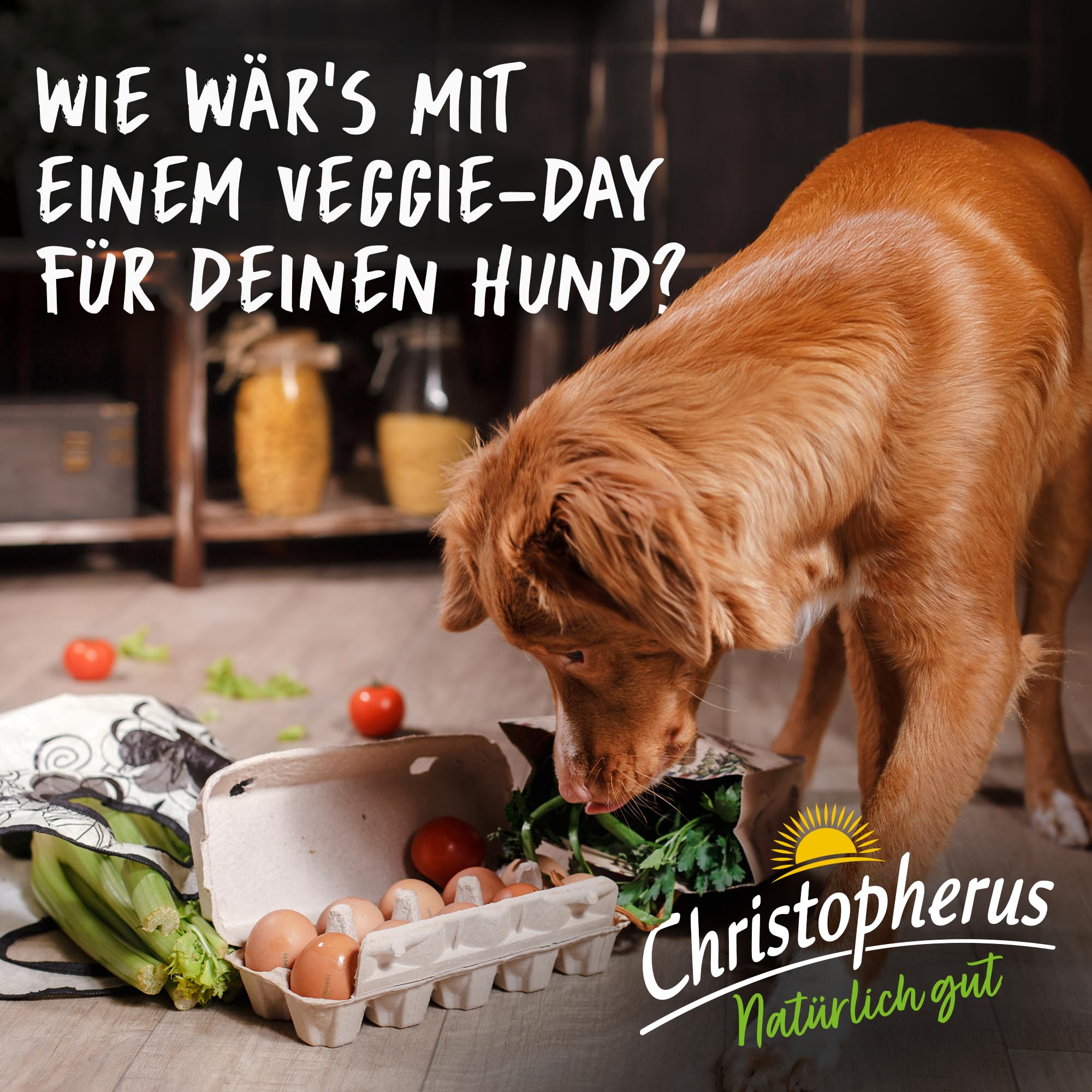 Christopherus Wegetariańska sucha karma dla dorosłych psów wszystkich ras, pojedyncza karma dla psów, groszek, tapioka i dynia, 8 kg