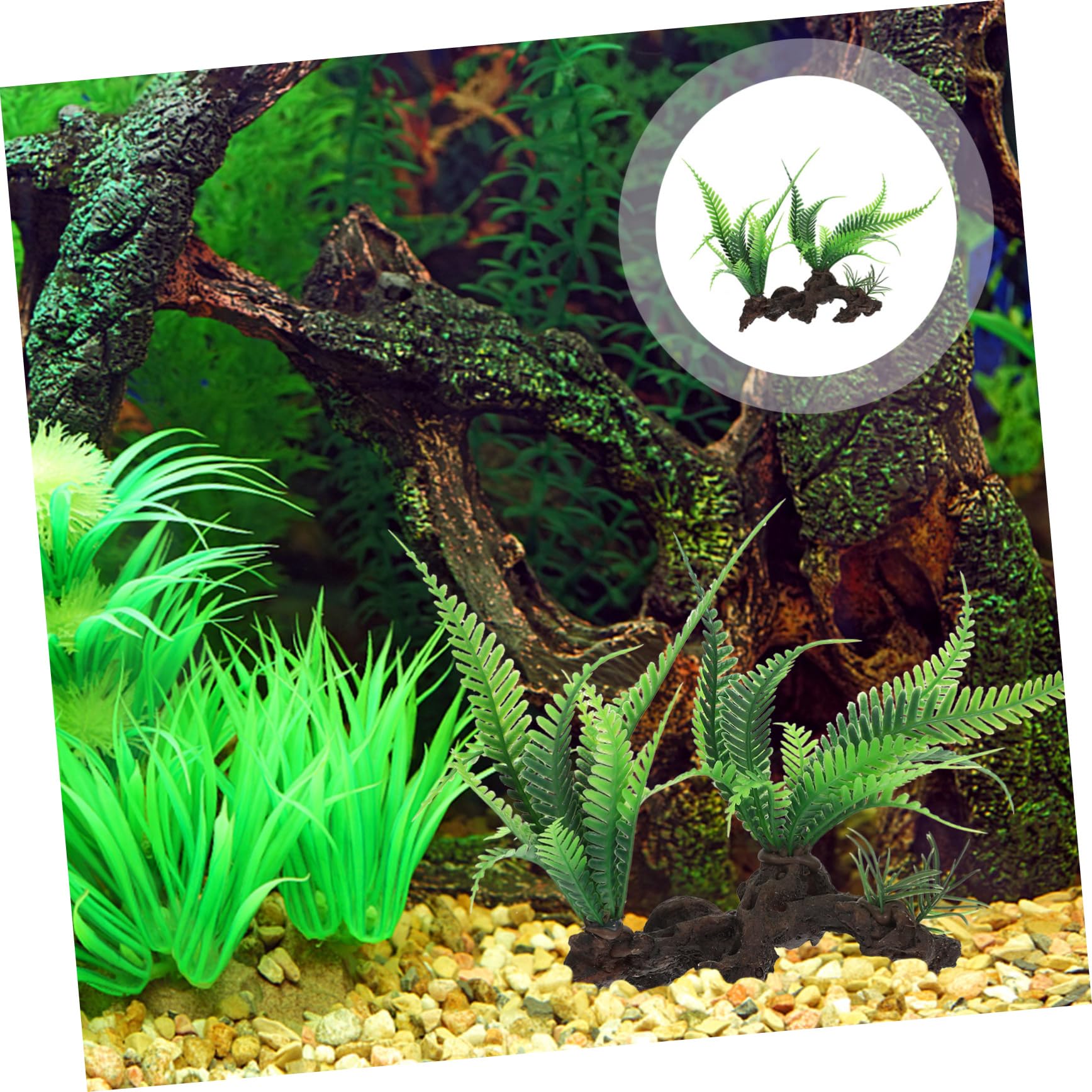 Beaupretty Aquarium en Plastique 4 Pièces Aménagement Paysager Plantes Aquatiques Bois Mort De Paon