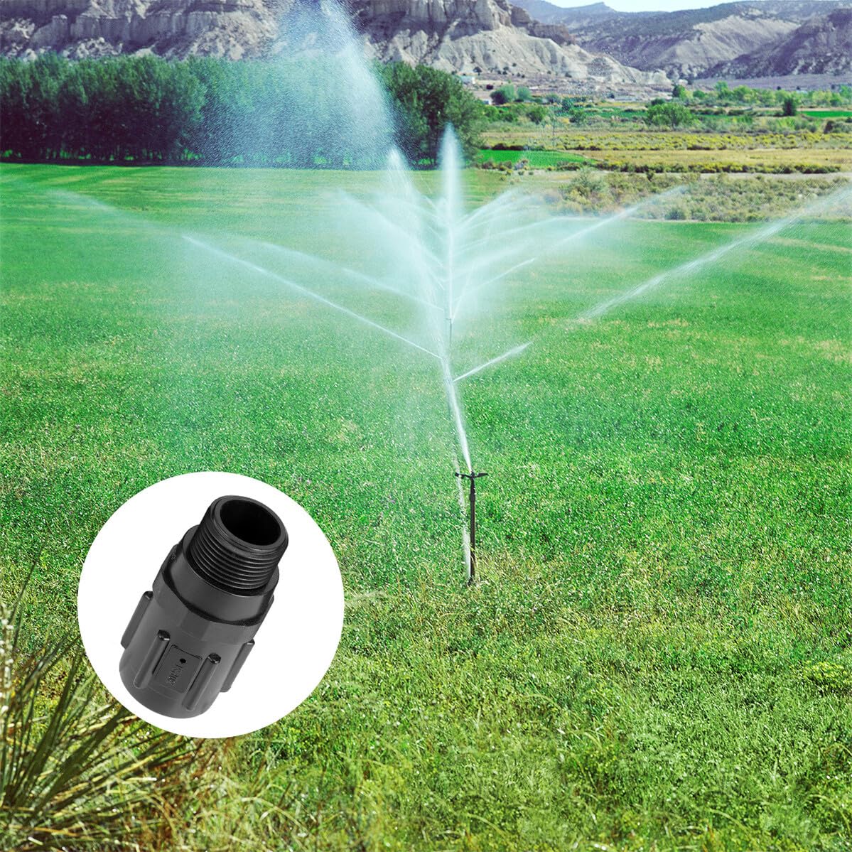 Régulateur de Pression D'irrigation Plastique 30 Psi 3/4 Pouce Noir