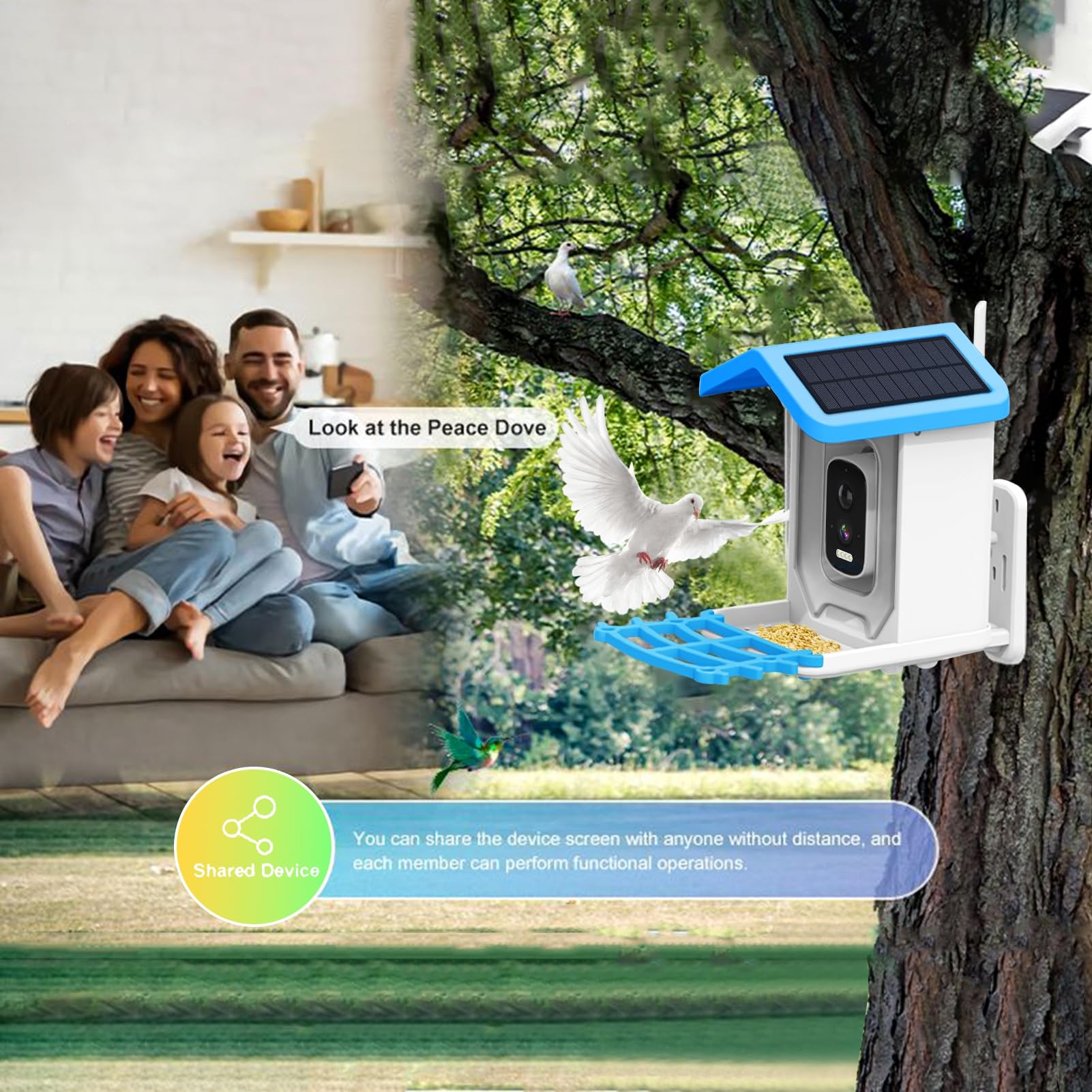 Comedero inteligente para pájaros con cámara, alimentador automático de colibríes con energía solar, comedero inalámbrico para pájaros al aire libre, regalo para amantes de las aves,