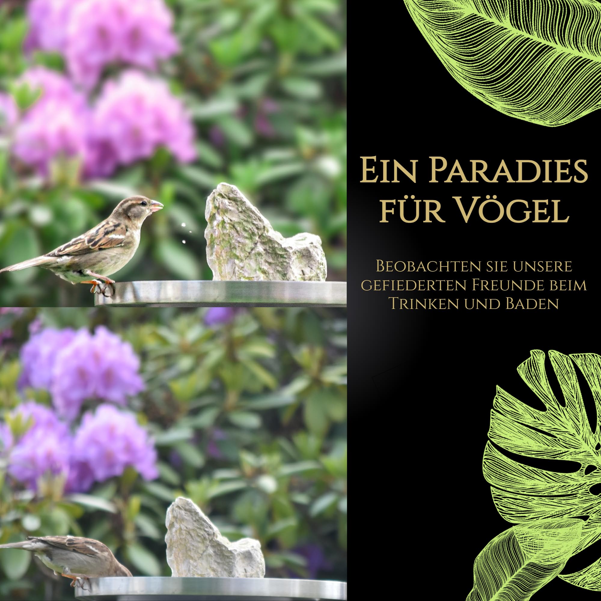 Vogeltränke stehend aus Edelstahl - Vogeltränke Winterfest - Vogelbad Garten stehend, Wassertränke für vögel aus Metall - Vogeltränke stehend groß, Vogelbad mit Stab