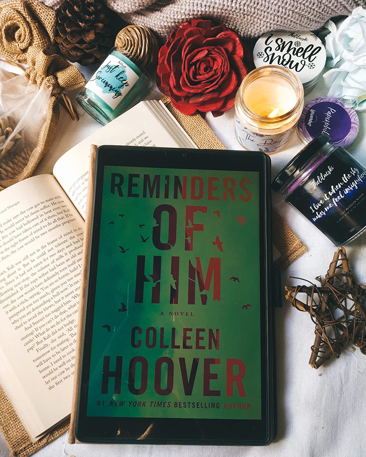 Reminders of Him: A Novel eBook : Hoover, Colleen: Amazon.in: Kindle Store