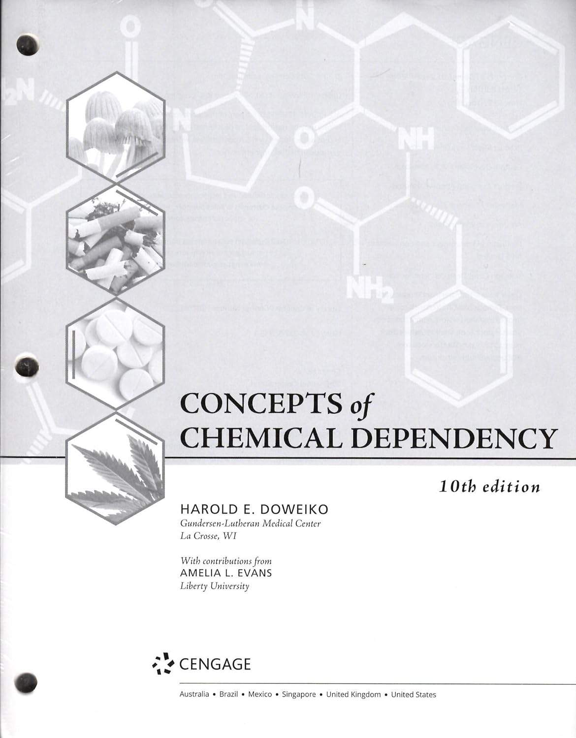 Concepts of Chemical Dependency, LooseLeaf Version, 10th (Standalone