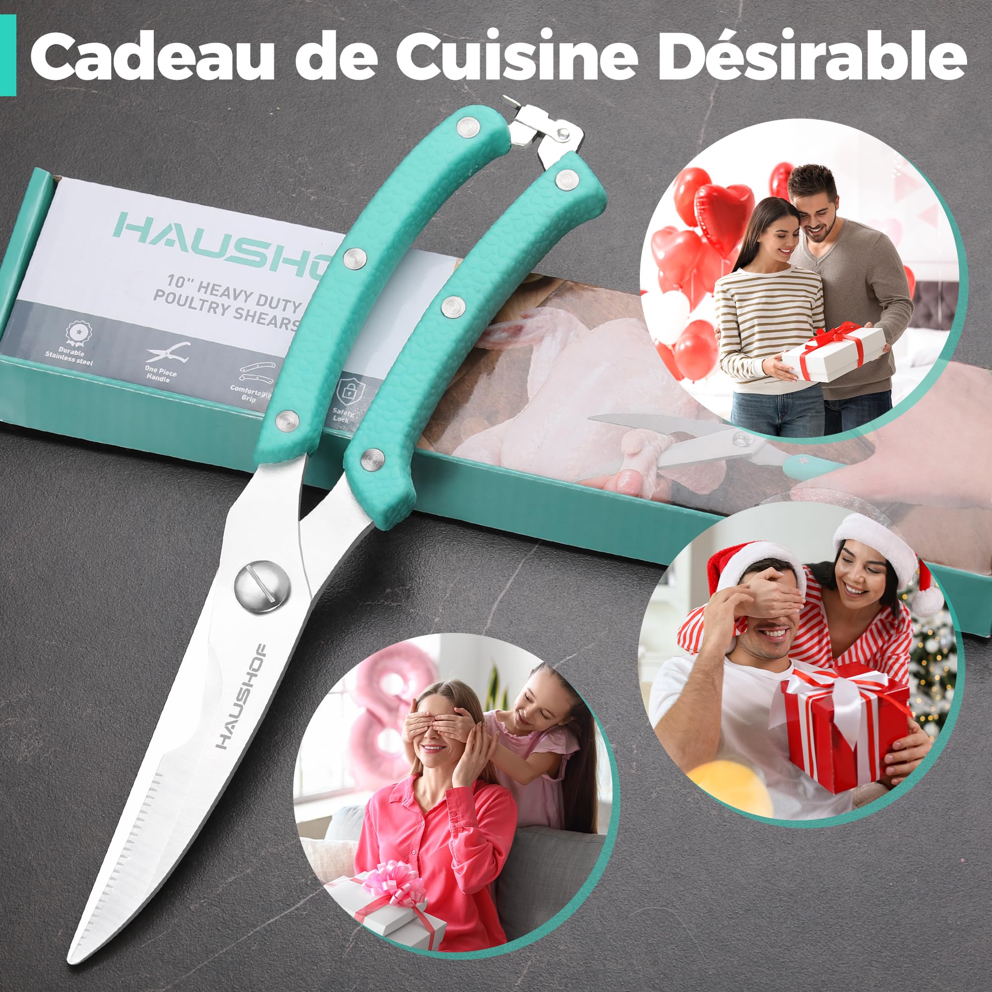 HAUSHOF Ciseaux à Volaille Robustes 255 mm, Ciseaux de Cuisine Professionnels en Acier Inoxydable Robustes et Tranchants pour Poulet, Viande, Poisson, Os et Légumes
