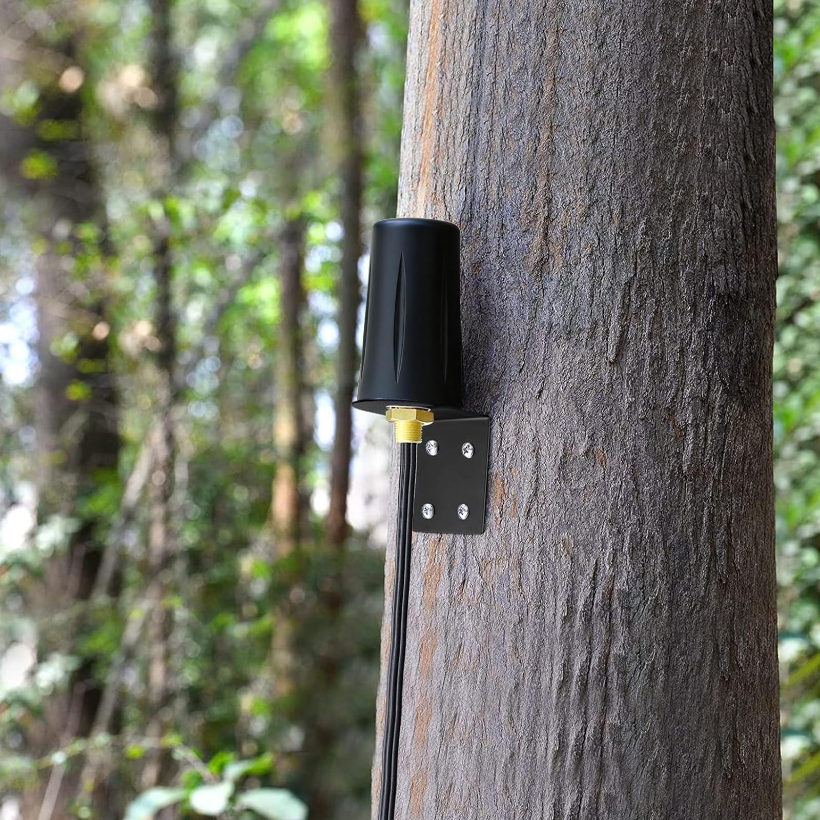 Bingfu Antenne 5G 4G LTE Extérieur Connecteurs Maschio SMA 4 MIMO Omnidirectionnelle avec Câble 3 m, Montage Murale Étanche pour Routeur Cellulaire Hotspot Mobile Passerelle Modem Dispositifs IoT
