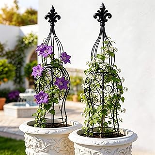 2-Pack Garden Obelisk Trellis for Climbing Roses & Flowering Vines, 30