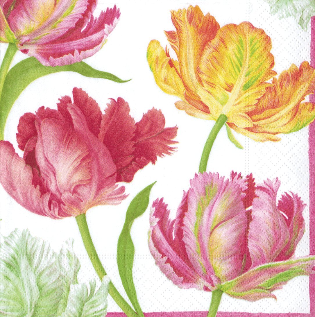 Caspari Tulip Dance Paper Cocktail Napkins - 20 Per Package
