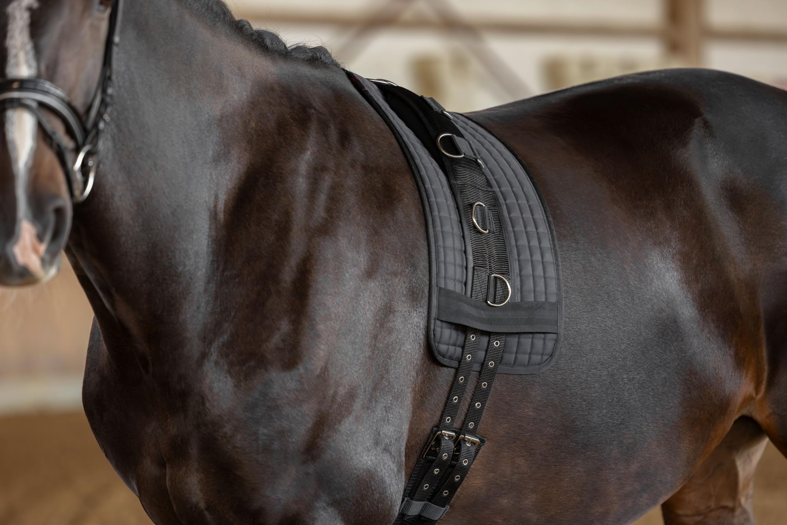 KERBL Cinchuelo para Dar Cuerda de Nailon, 9 Anillos Poni, cincha Regulable