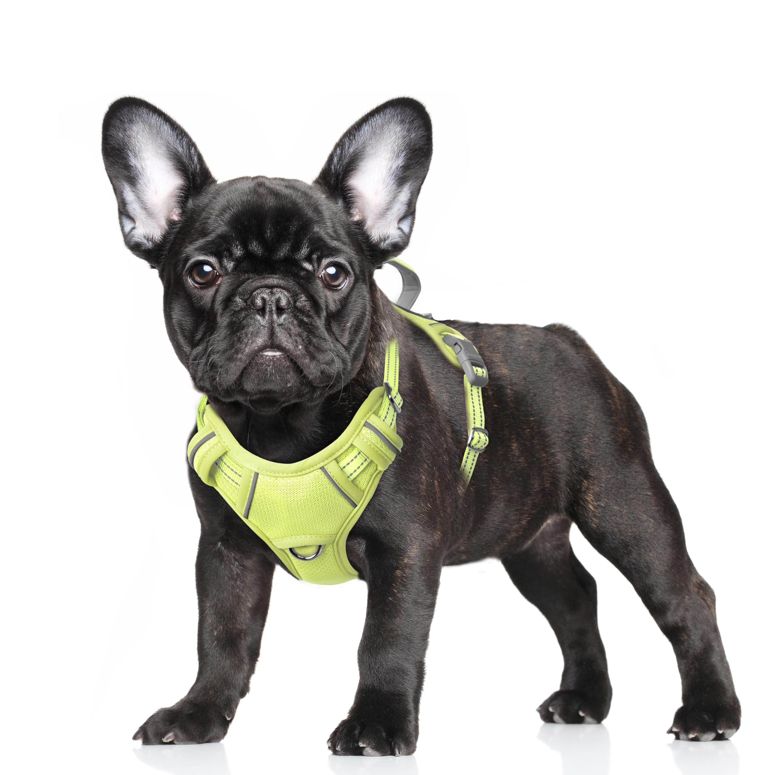 BARKBAY No Pull Dog Harness Large Reflective Dog Harness with Front Clip and Easy Control Handle for Walking Training Running with ID tag Pocket(Sunlight,S)