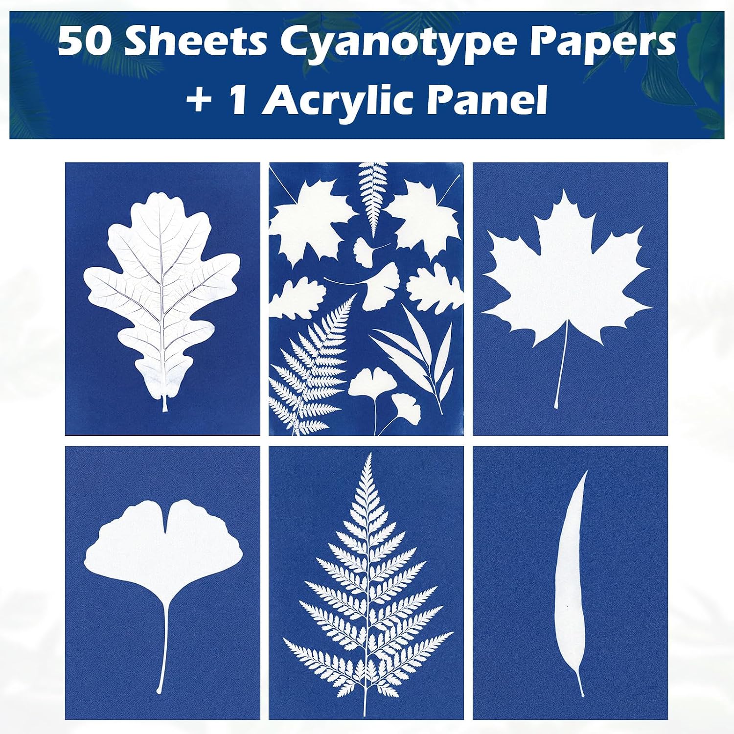 Sun Print Cyanotype Paper Kit, 50 Sheets A6 Cyanotype Papers with 1 Sheet Acrylic Panel, High Sensitive Nature Solar Activated Sun Printing Art Supplies for Arts Crafts DIY Project