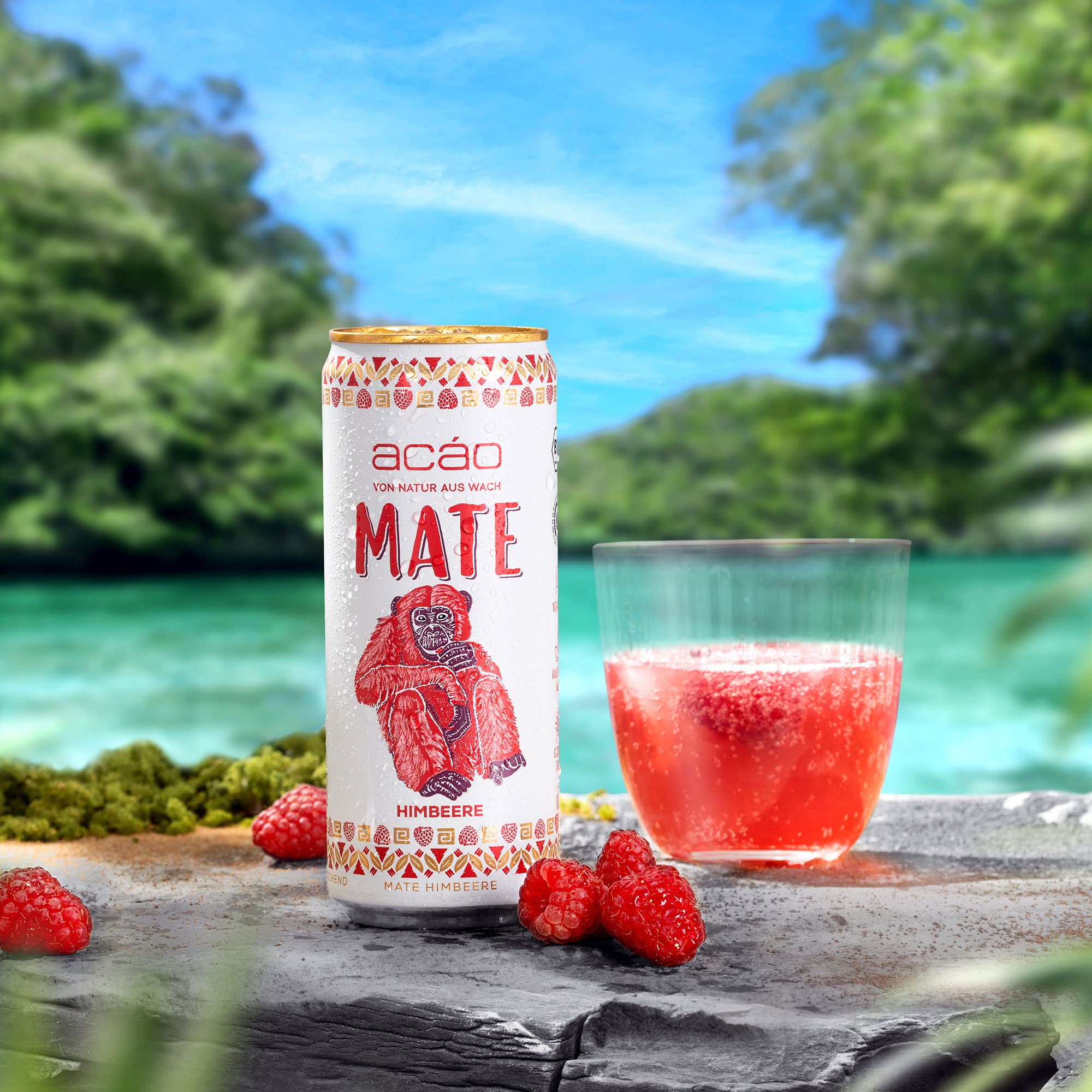 acáo Bio Mate Himbeere (12 × 330 ml Dose) – super fruchtig, kalorienarm – Natural Energy Drink, koffeinhaltiges Erfrischungsgetränk – Mate Tee
