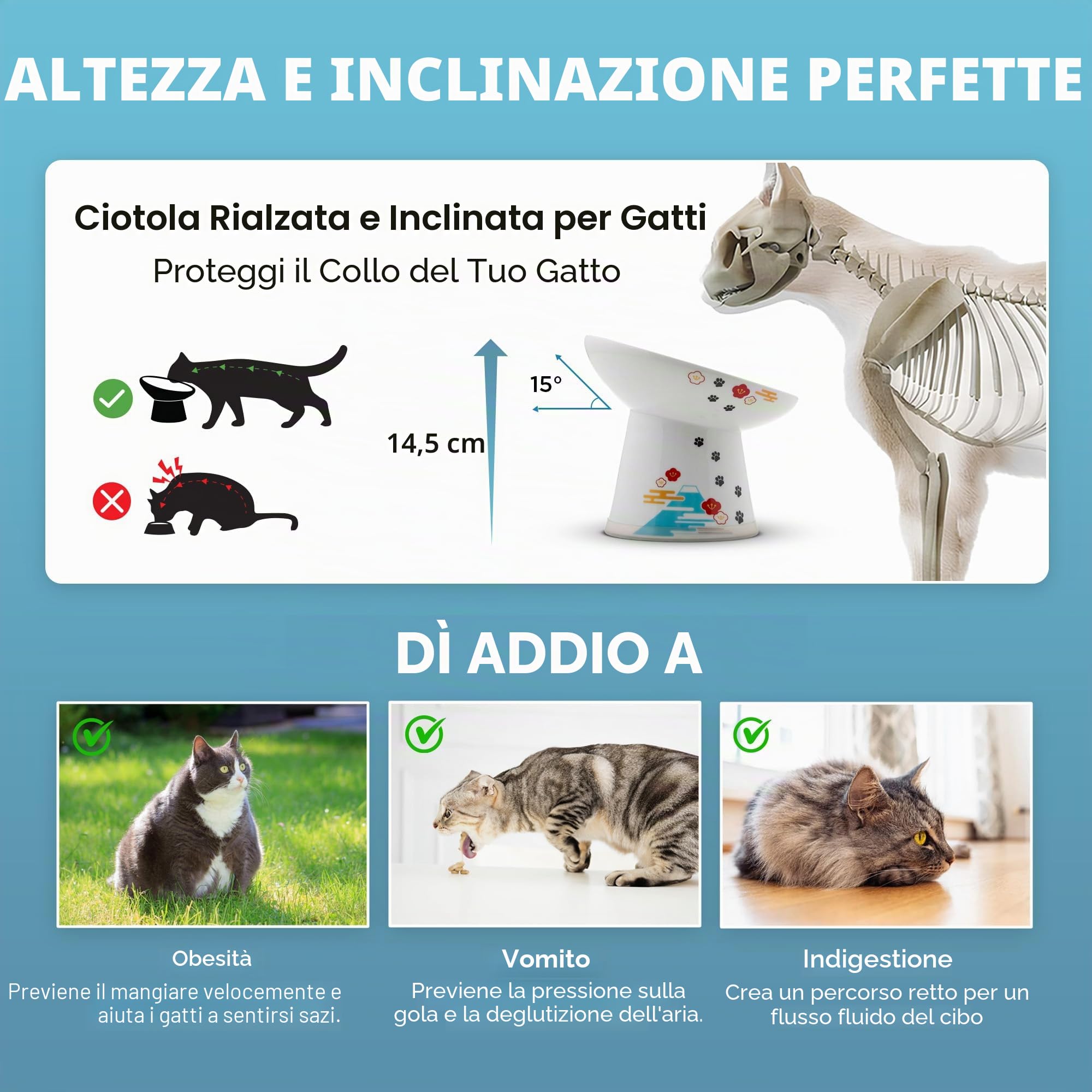 Necoichi Ciotola per cibo per gatti rialzata extra larga, rialzata, previene l'affaticamento del collo e dei baffi, lavabile in lavastoviglie e adatta al microonde, venditore n. 1 in Giappone