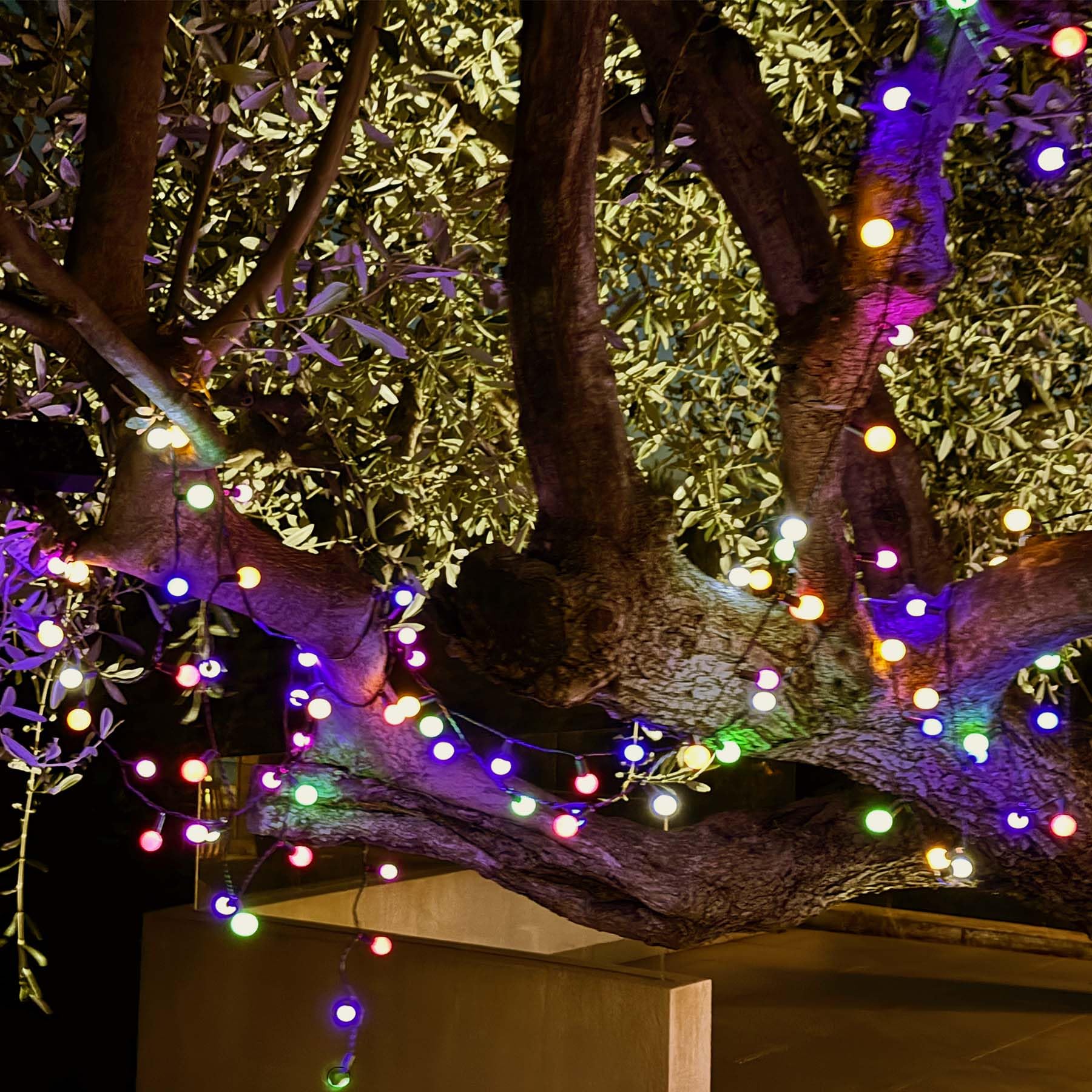 BILLY 2 Stück Solar-Lichterkette, 100 bunte runde LED-Leuchtmittel, 10,90 m