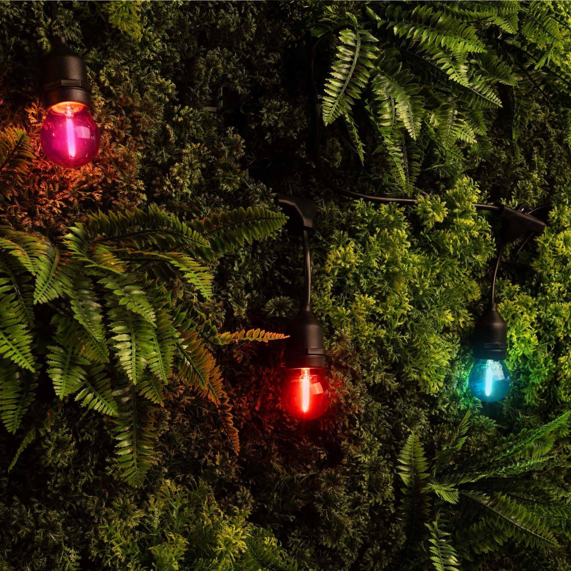 Ledvion - LED Guirlande Lumineuse, 20M, IP65, 20W, 220-240V, Incl. 20 LED, Guirlande Lumineuse Extérieure Électrique, Éclairage De Jardin, Étanche, Connectable