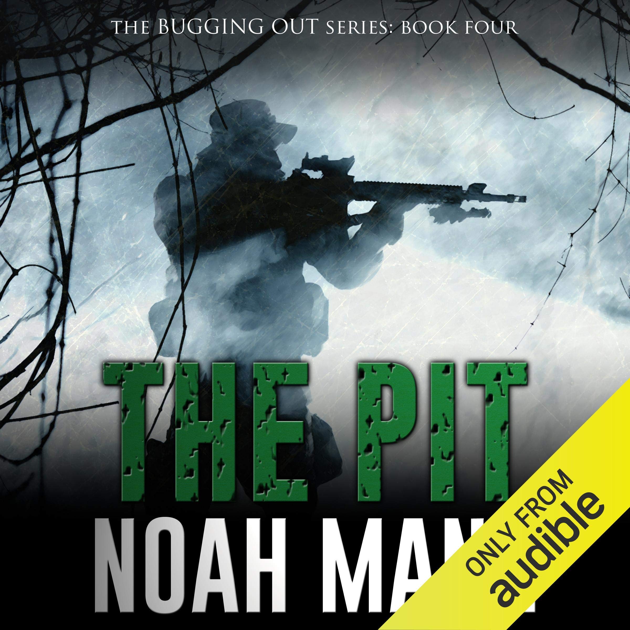 Cover art for The Pit