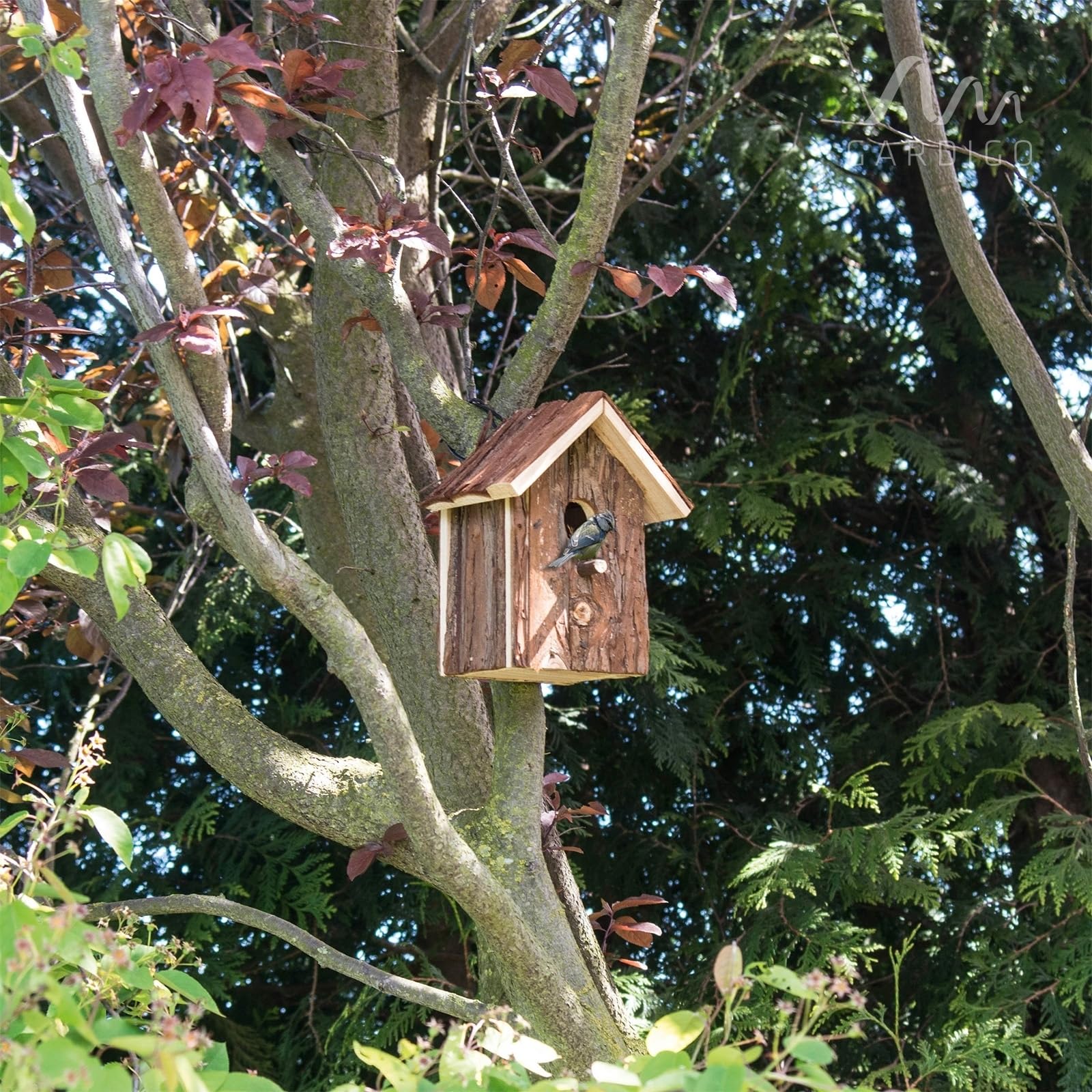 Vijf design vogelhuisjes van Etsy | Tuin en Balkon