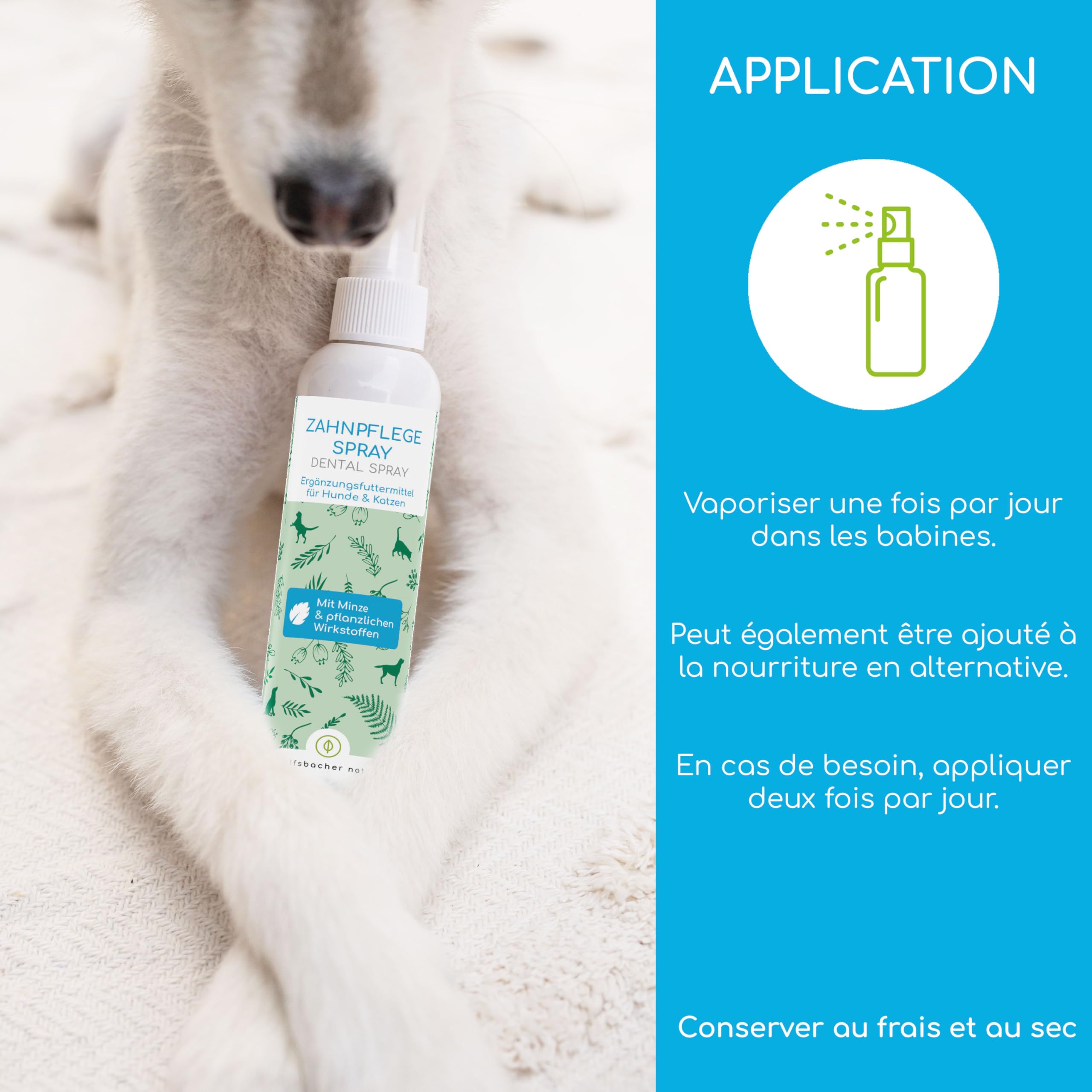 Détartrant pour Chiens & Chats – Spray Dentaire Naturel pour un Nettoyage sans Brosse – Élimine le Tartre & Réduit la Mauvaise Haleine – Haleine Fraîche à la Menthe 150ml