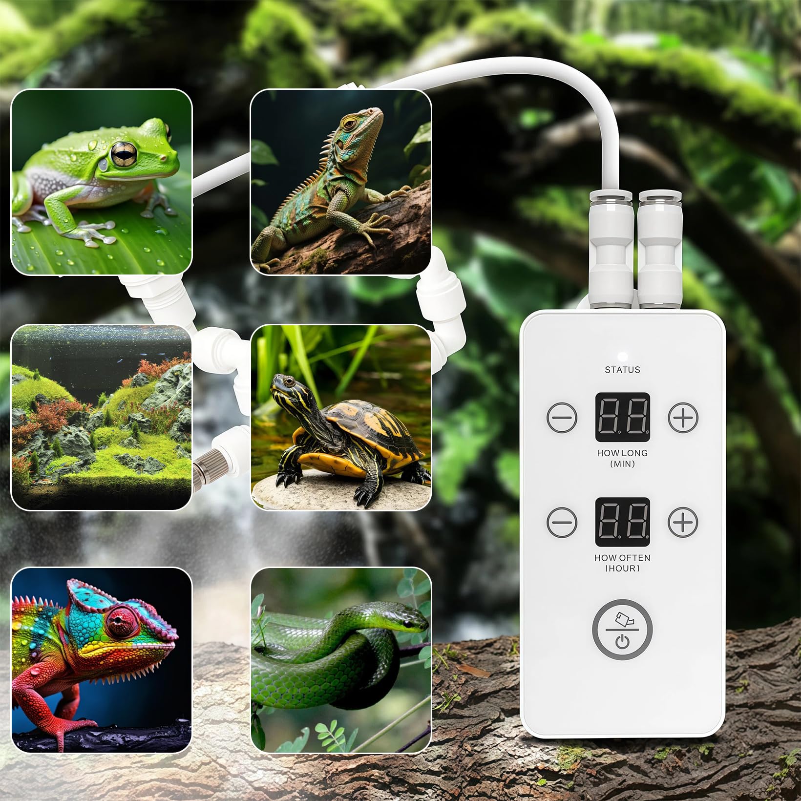 Beregnungsanlage Terrarium, Reptilien Benebelungssystem mit Timer und Sprühdüsen 360 ° Verstellbare, Luftbefeuchter Terrarium Nebelsystem für Regenwald Terrarien, Amphibien, Reptilien, Pflanzen