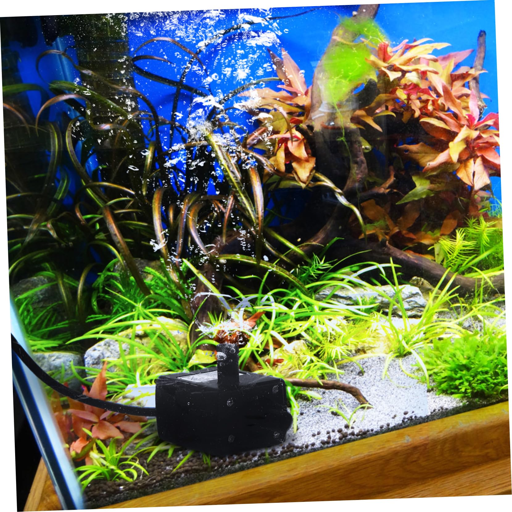 Supvox 3stücke Mini Usb Wasserpumpe Für Aquarien Und Katzentränken Tauchpumpe Mit Installieren Langlebig Und Vielseitig Einsetzbar Für Wasserstellen Und Teiche