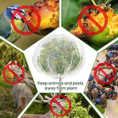 Miniatura 4 de Red para árboles frutales de 6.9 x 8.5 pies, cubierta de malla ultrafina para árbol de insectos de jardín con cordón, barrera transparente para