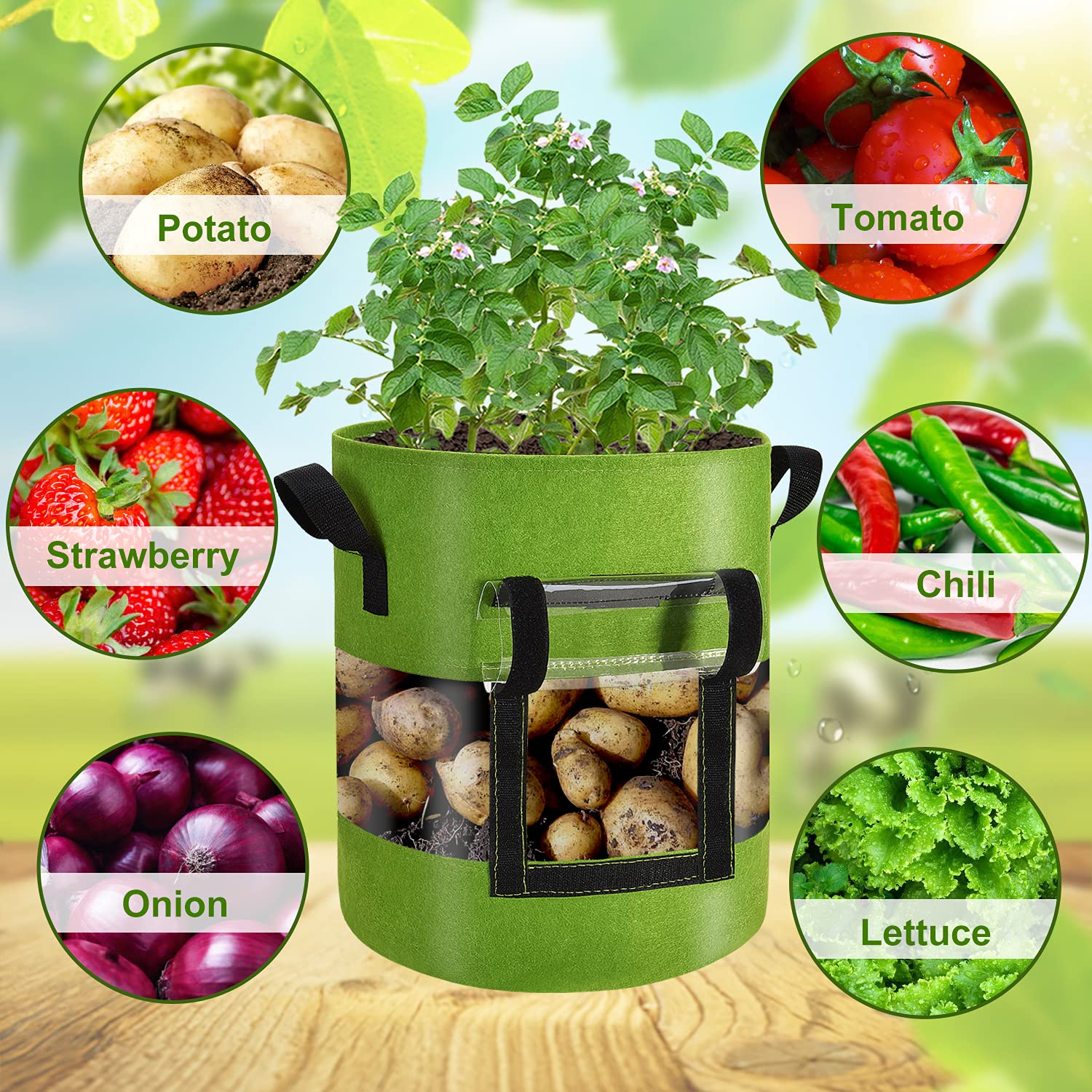 best grow bags for tomatoes