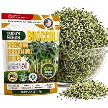 Todds Seeds Broccoli Sprouting Seeds, 1/4 lb Bulk - Non-GMO
