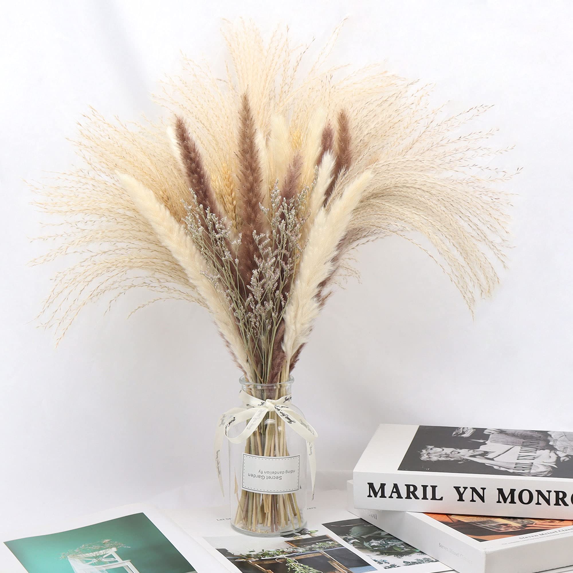 Buy 70pcs Pampas Grass 17inch Tall, Dried Pampas Grass Modern Home