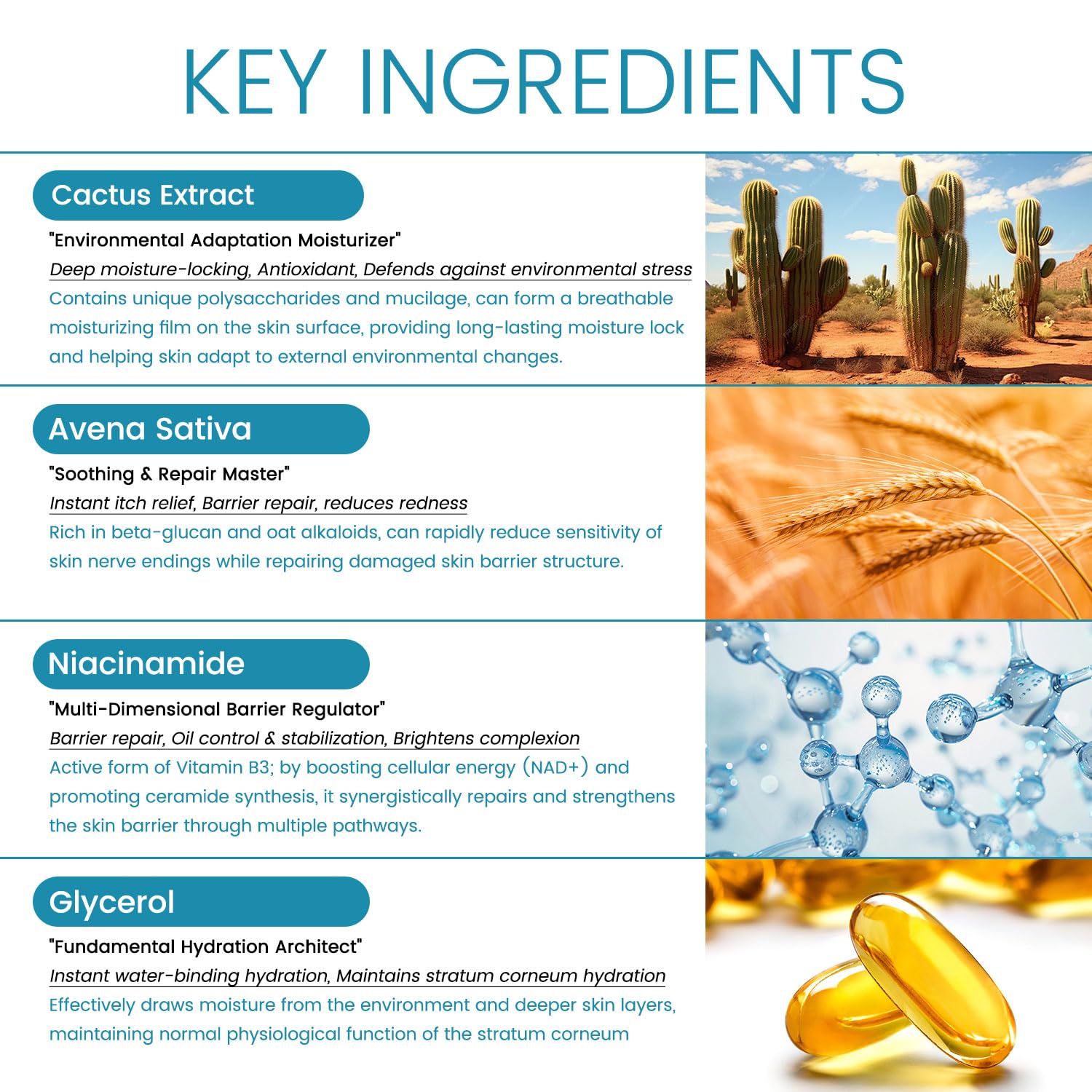 PEGO Camel Milk Cactus Repair Moisturizing Cream, Anti Wrinkle Face Moisturizer for Women, Promotes Collagen Synthesis, Accelerates Cell Turnover, Reduces Wrinkles & Spots, 50g/e1.764oz - Image 7