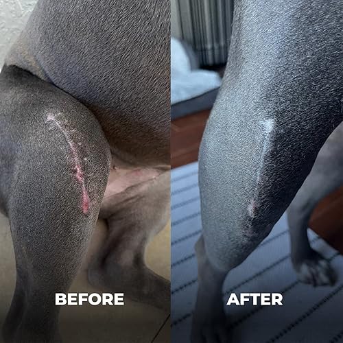 Miniatura 2 de Bulldog - Tratamiento de puntos calientes de 2 onzas para el cuidado de heridas con plata y miel, alivio de picazón de bulldog francés para