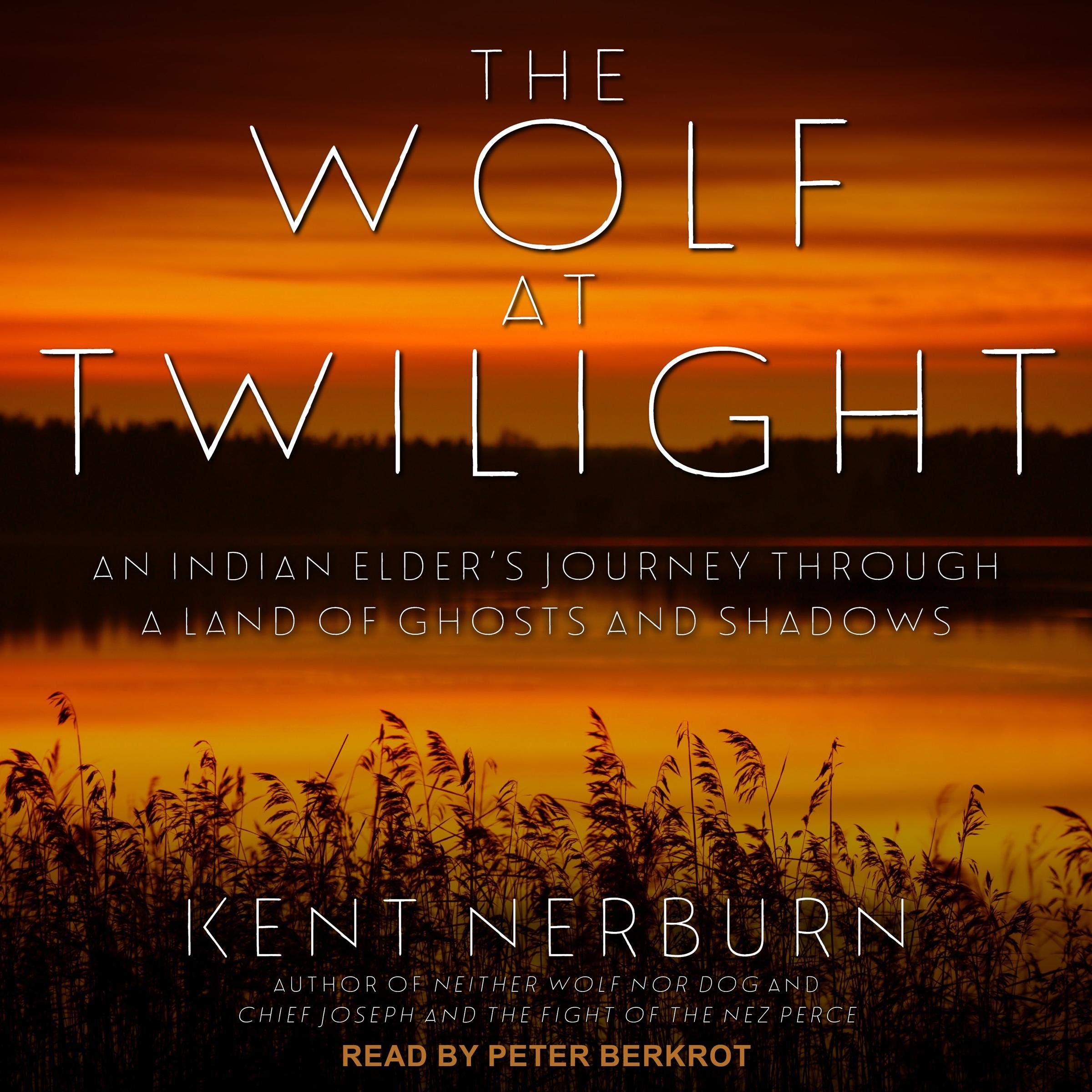 Cover art for The Wolf at Twilight