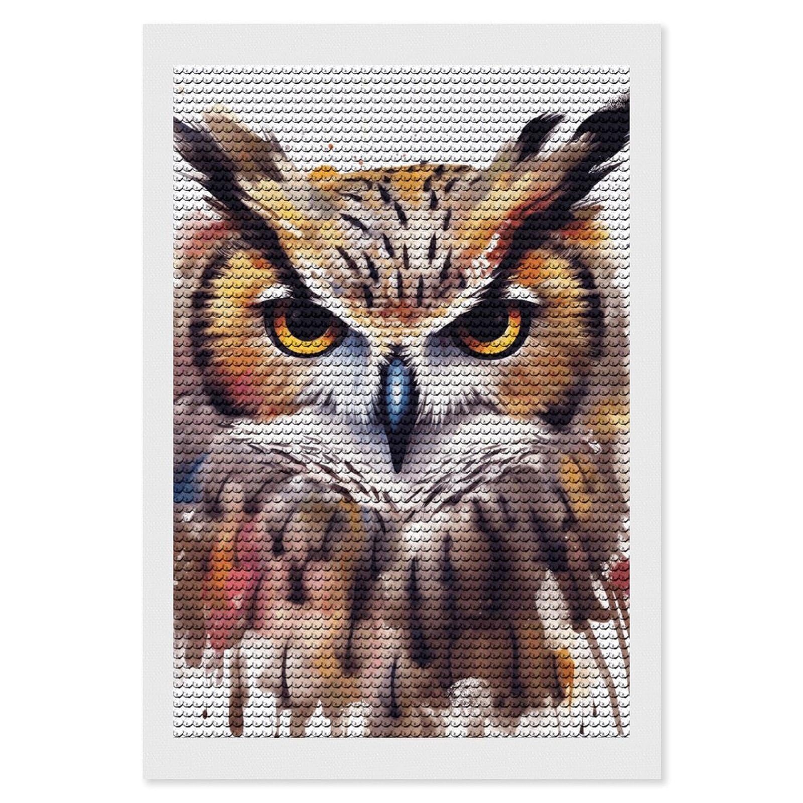 Diamond Painting Kits for Adults - DIY Diamond Art Kits for Beginners - Full 5D Paint Drill Diamond Dots Paintings- Watercolor Cool Owl Head Diamonds Pictures Gem Art And Craft Wall Decor 8"x12"