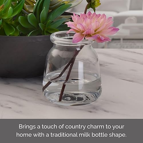 Miniatura 9 de Elements Jarrón de vidrio para botella de leche, para uso con flores secas o sintéticas y vegetación, 4.2 x 4.2 x 4.72 pulgadas, transparente