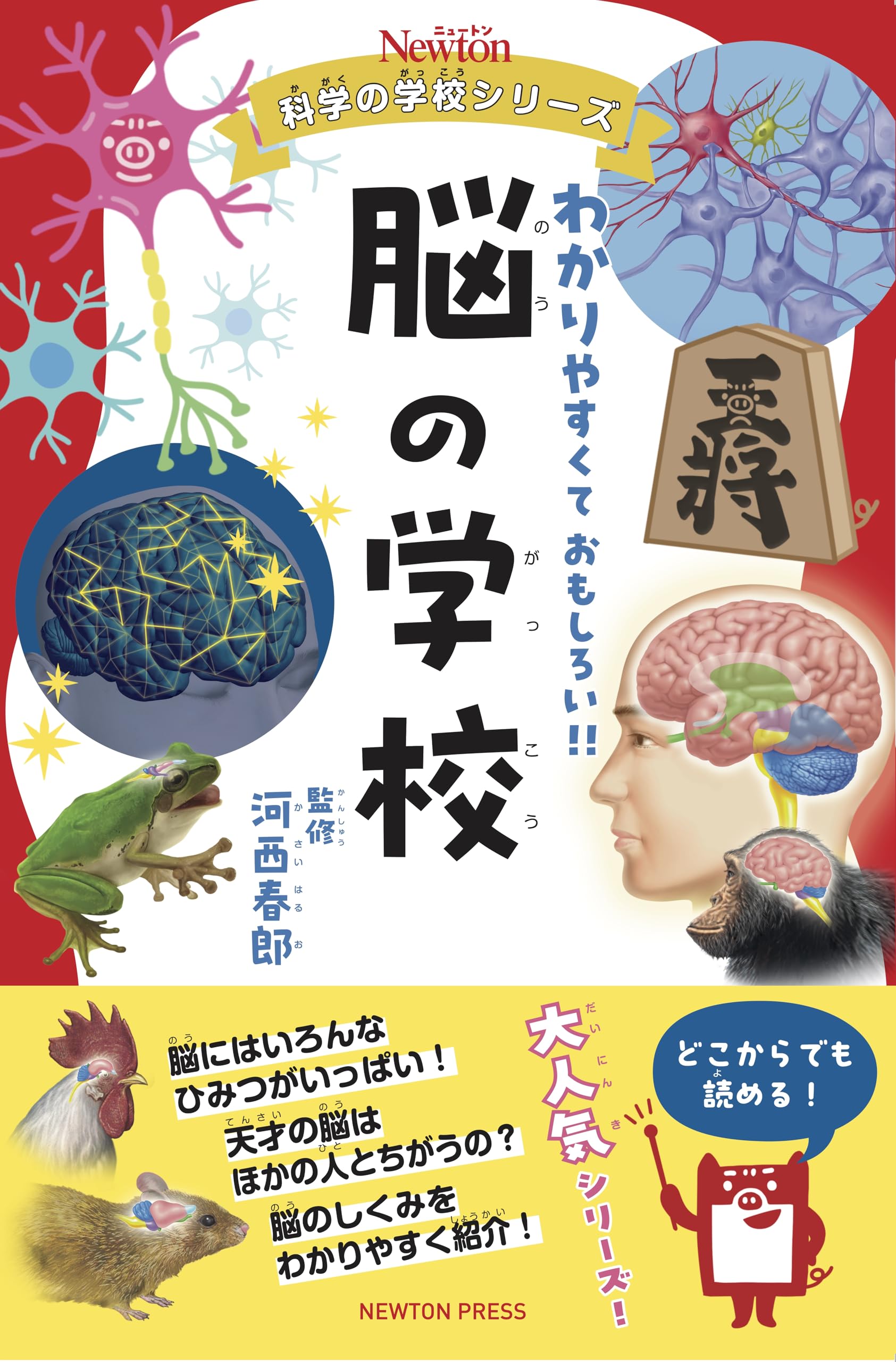 ニュートン　科学の学校シリーズ　分かりやすくておもしろい！！　セット　まとめ売り ニュートン 科学の学校シリーズ 分かりやすくておもしろい！！ セット