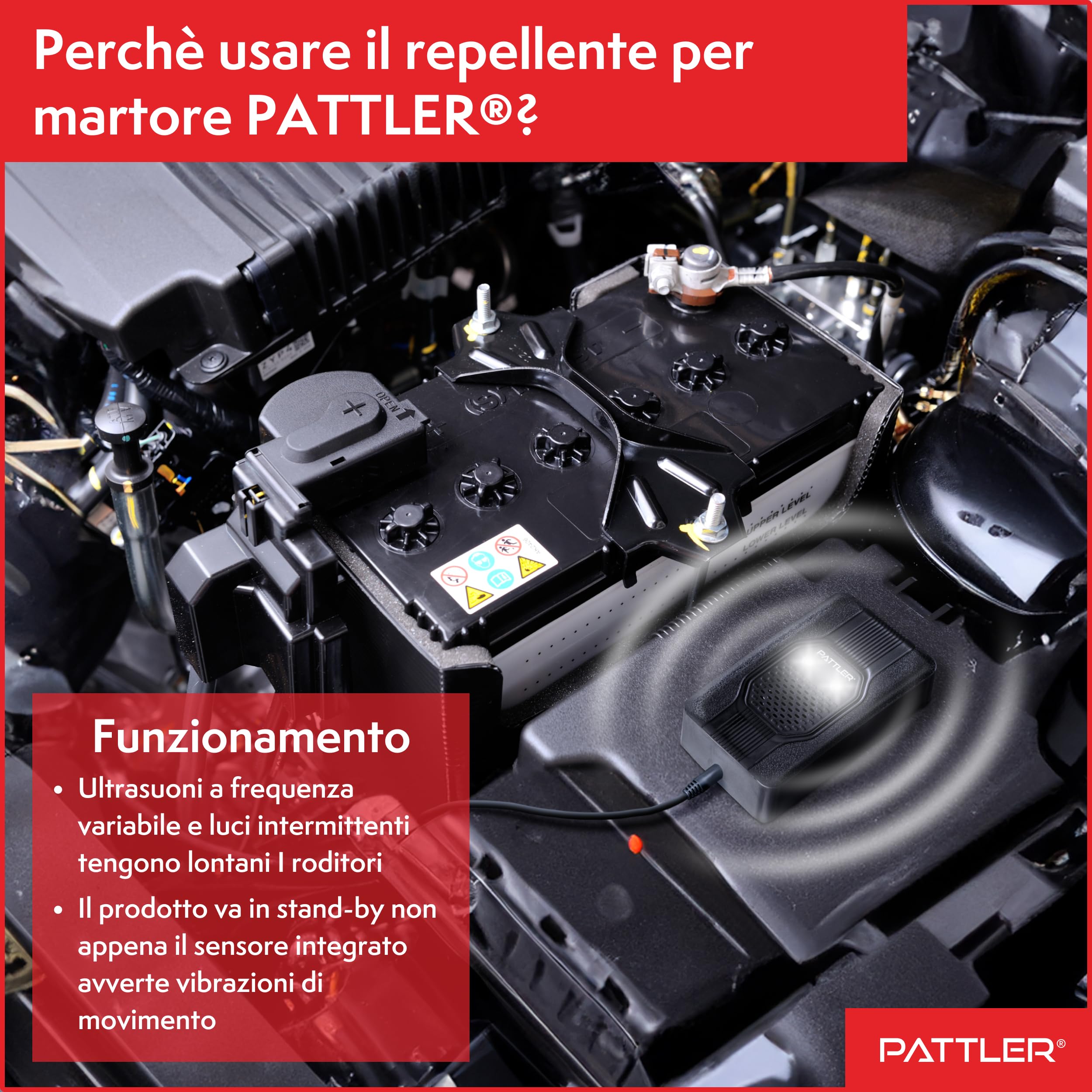 PATTLER Dissuasore Anti Martora per Auto con Luce - Alimentazione con Batteria Auto 12V, Batteria AA o USB - Protezione Ultrasuoni Contro Le Martore per Auto, Giardino, Soffitta - 1PZ