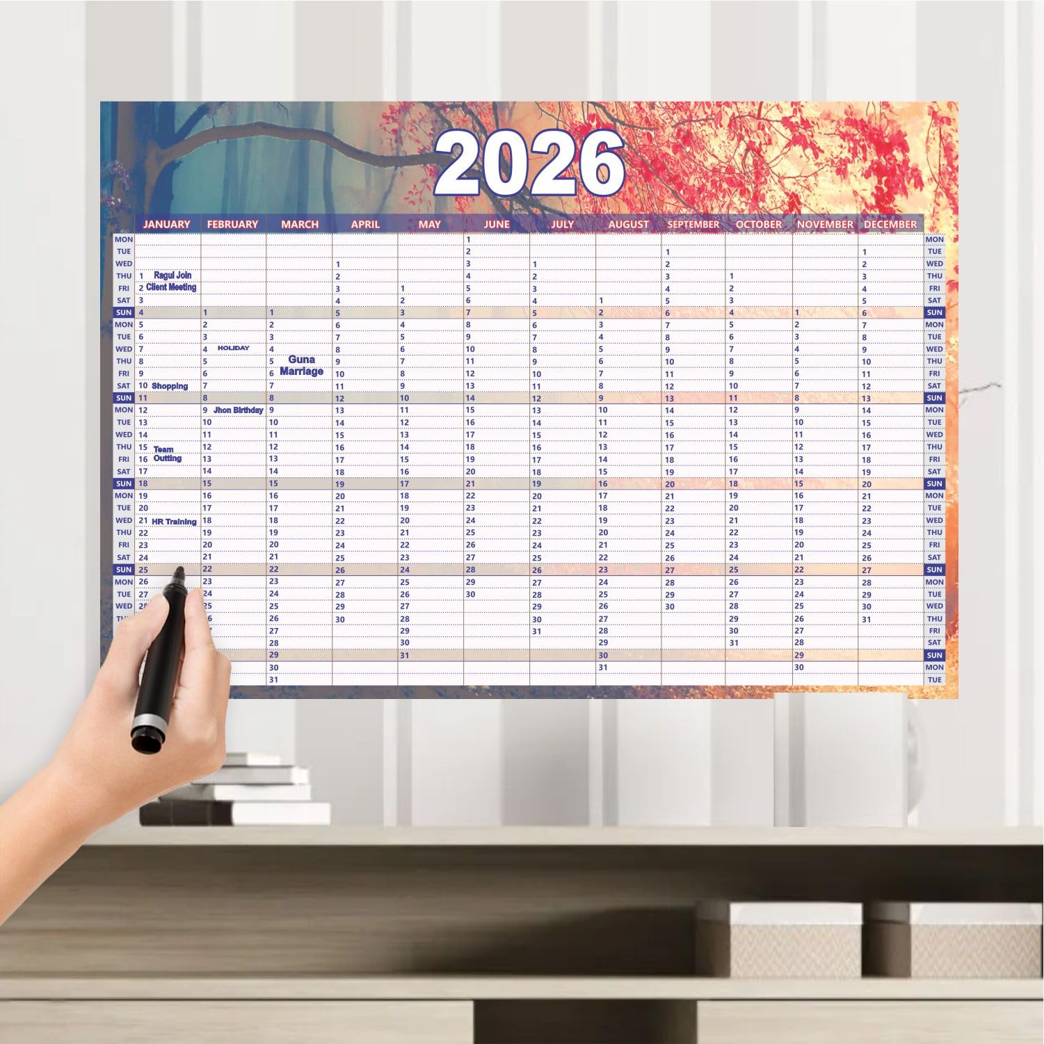 VP1206 Year planner 28x19.5" single sheet big year planner 2026-image-41
