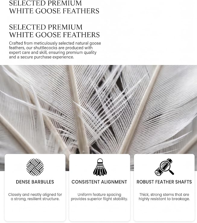 12-Pack Badminton Shuttlecocks, White, Premium Goose Feathers,Stable Flight