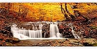 Vista 10 de artgeist Mural de Pared Despegar y Pegar Bosque 212x98 pulgadas - Papel Tapiz Autoadhesivo XXL de Esquina Removible Gran Pegatina Lámina Papel Tapiz